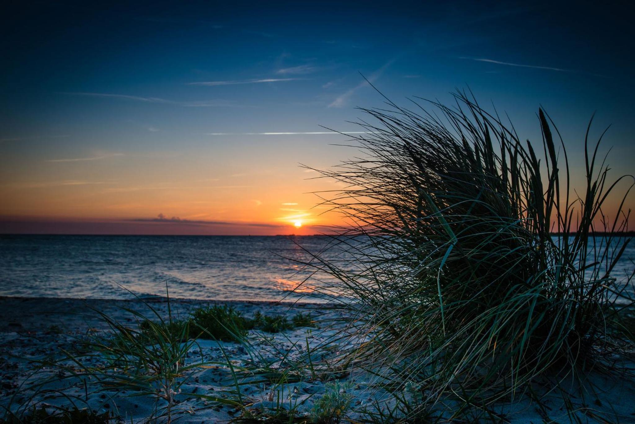 Schnieke Bude