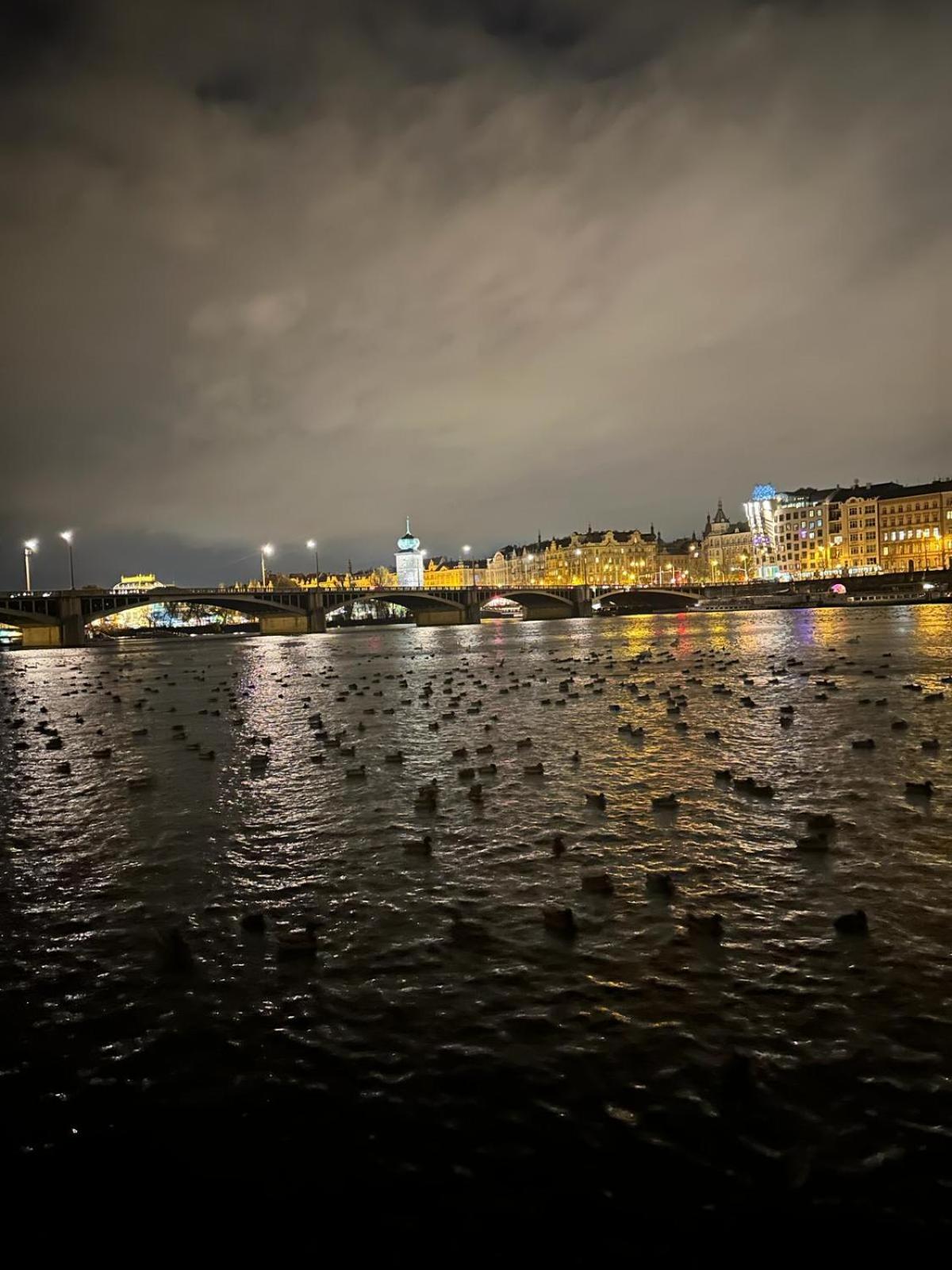 River View Apartment MANES