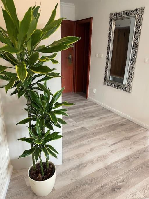 Luxusný apartmán pri jazere - free parking view 2