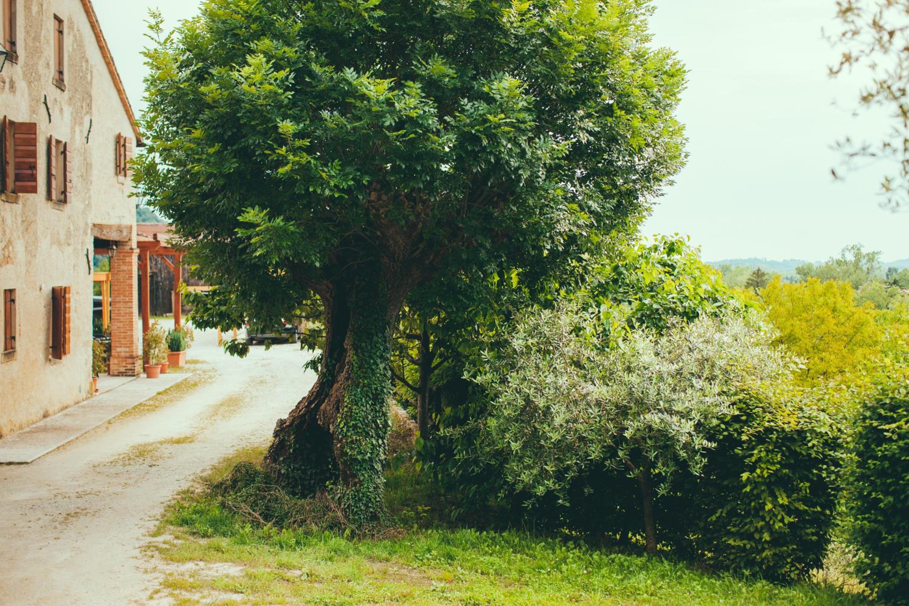 Photo 43