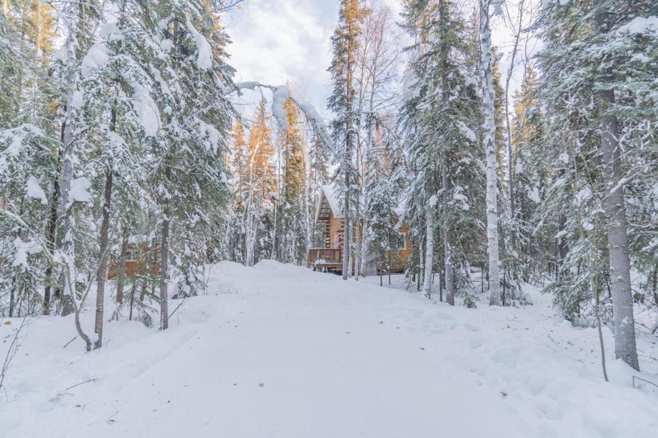 Iniakuk Forest Cabin