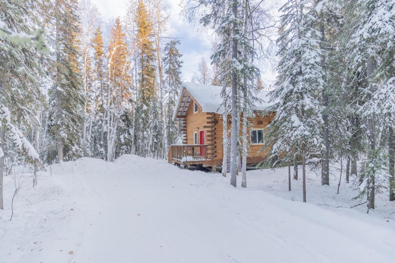 Iniakuk Forest Cabin