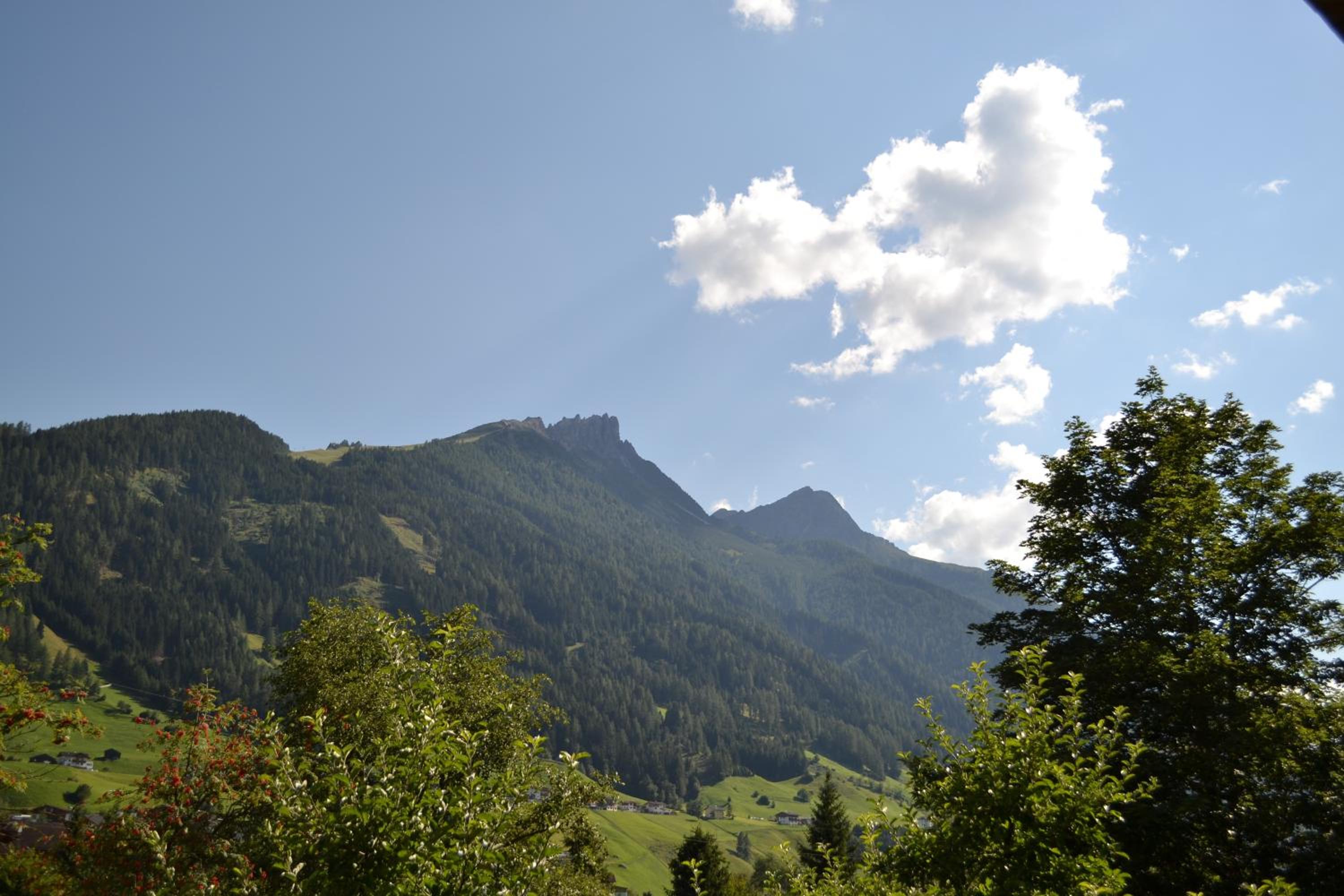 Photo 31