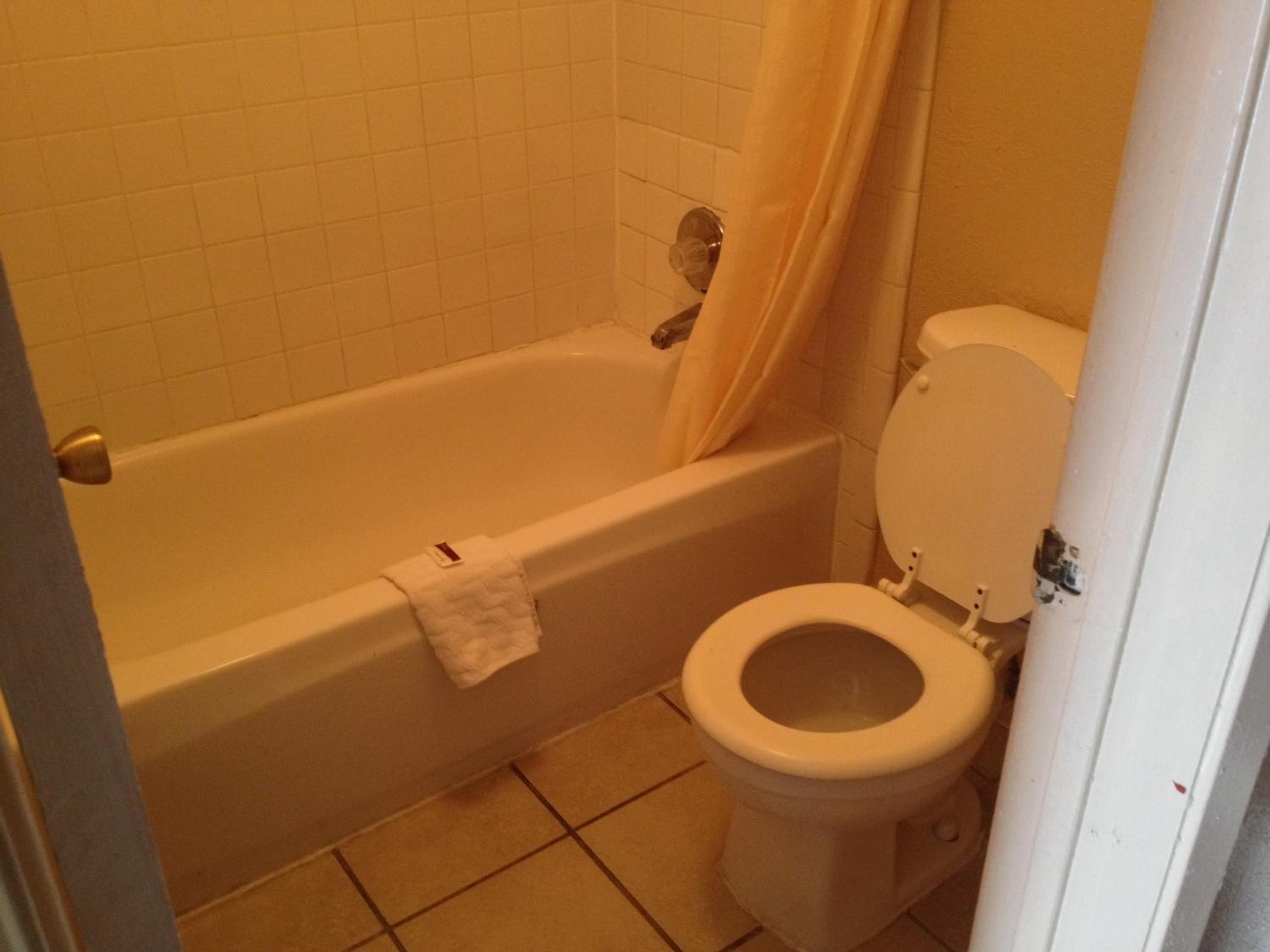 Photo 43