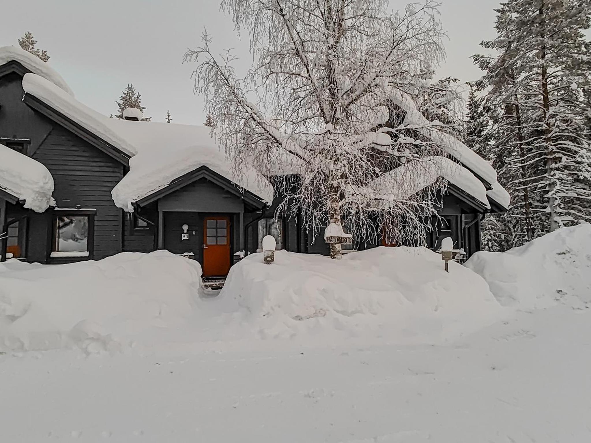 Holiday Apartments Halla-Ukko 3 view 4