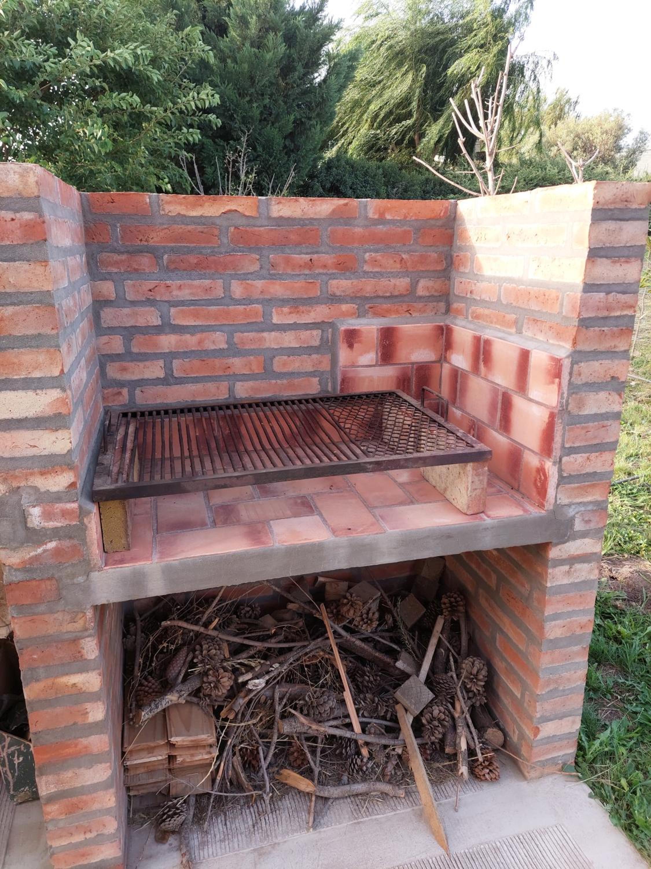 Chicharrita