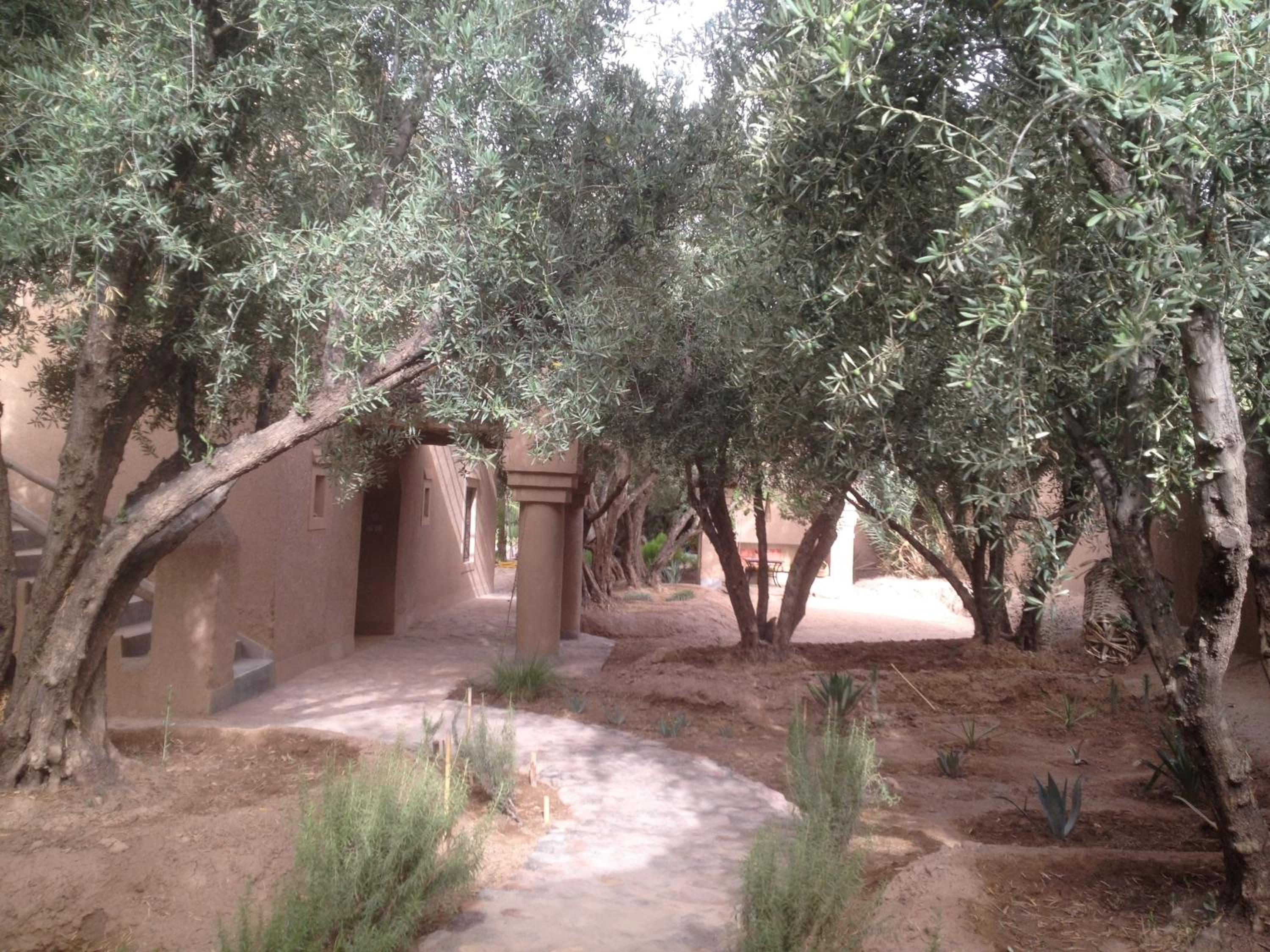 Dar Lorkam