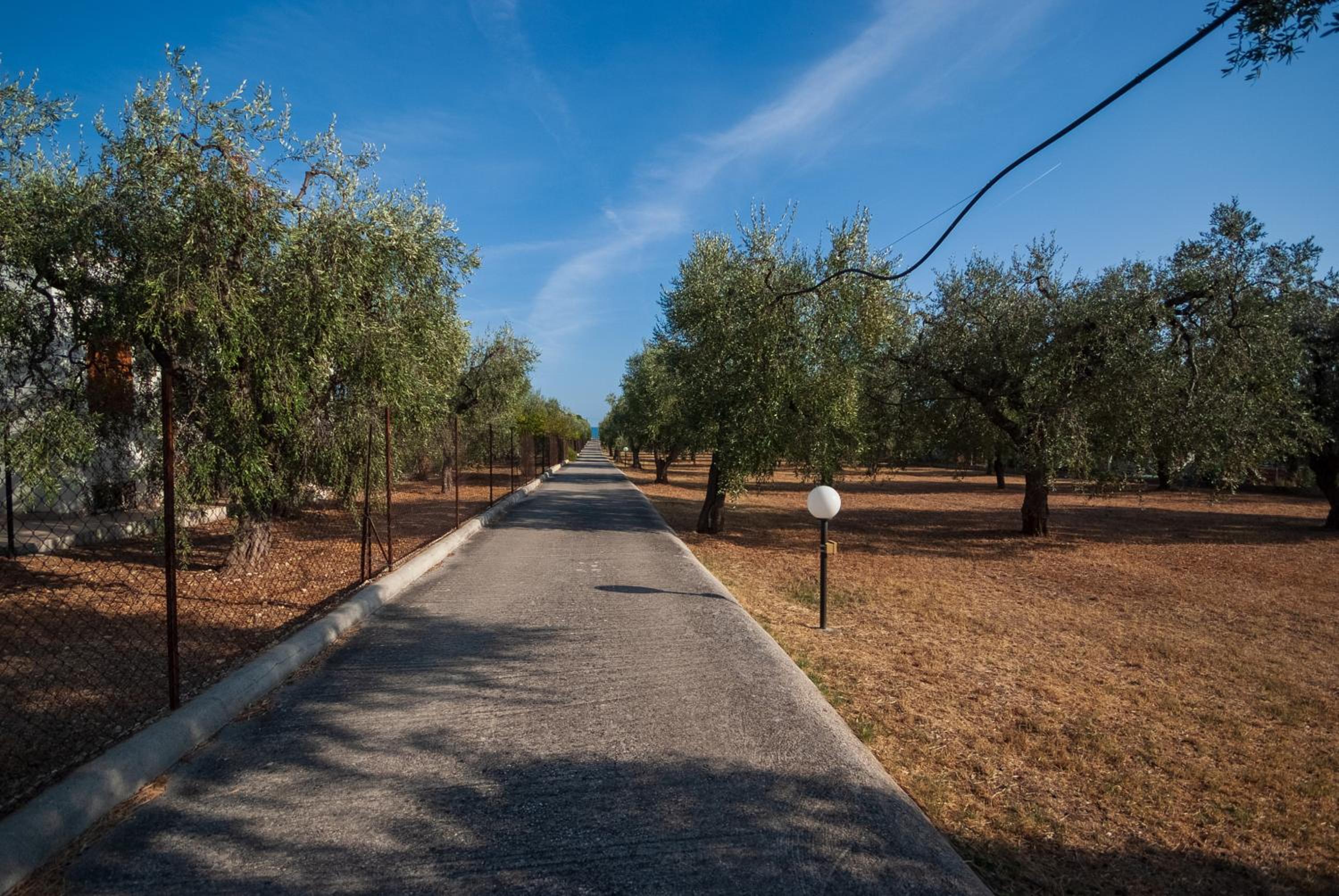 Villa Lucia