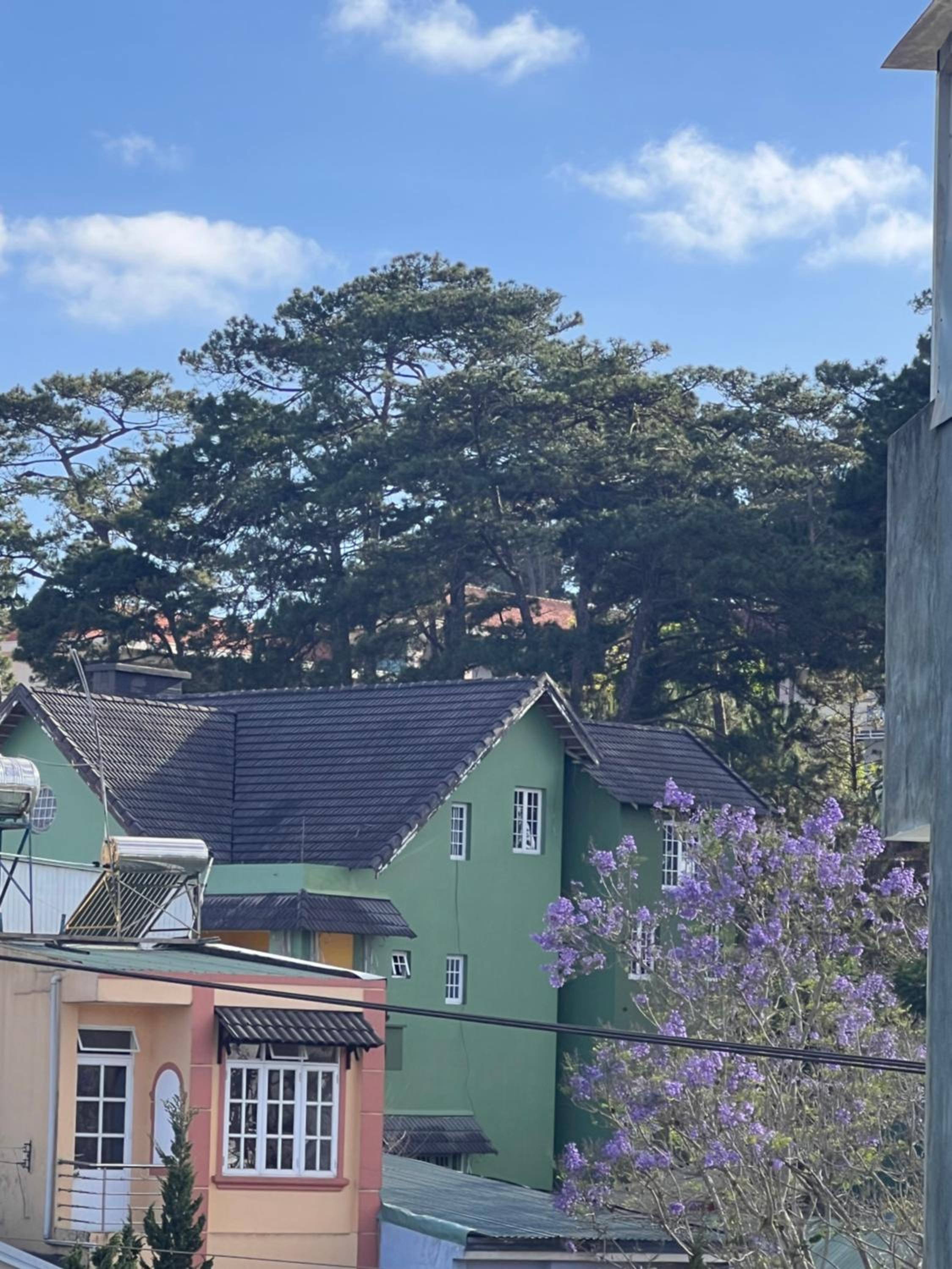 Đà Lạt home view 5
