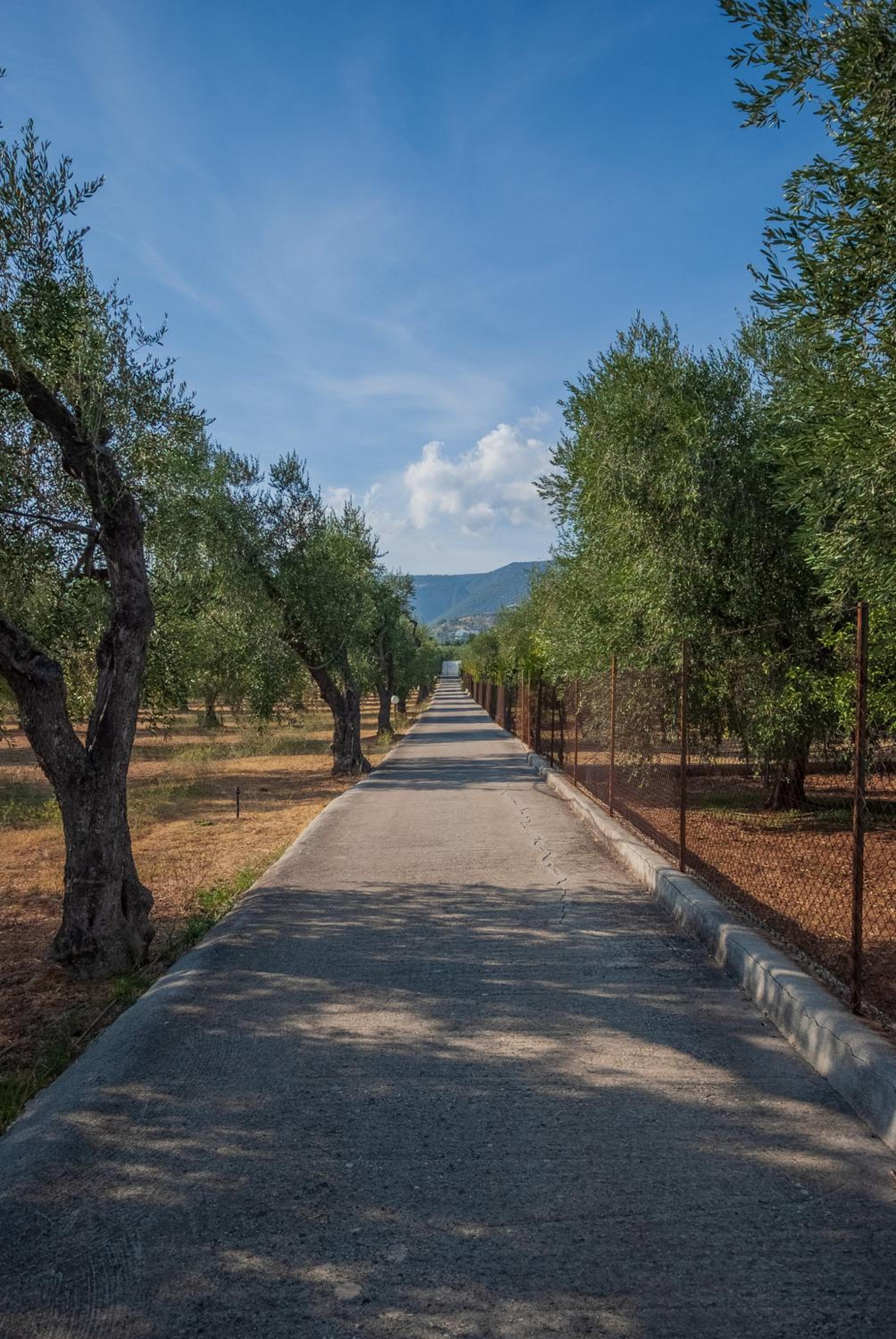 Villa Lucia