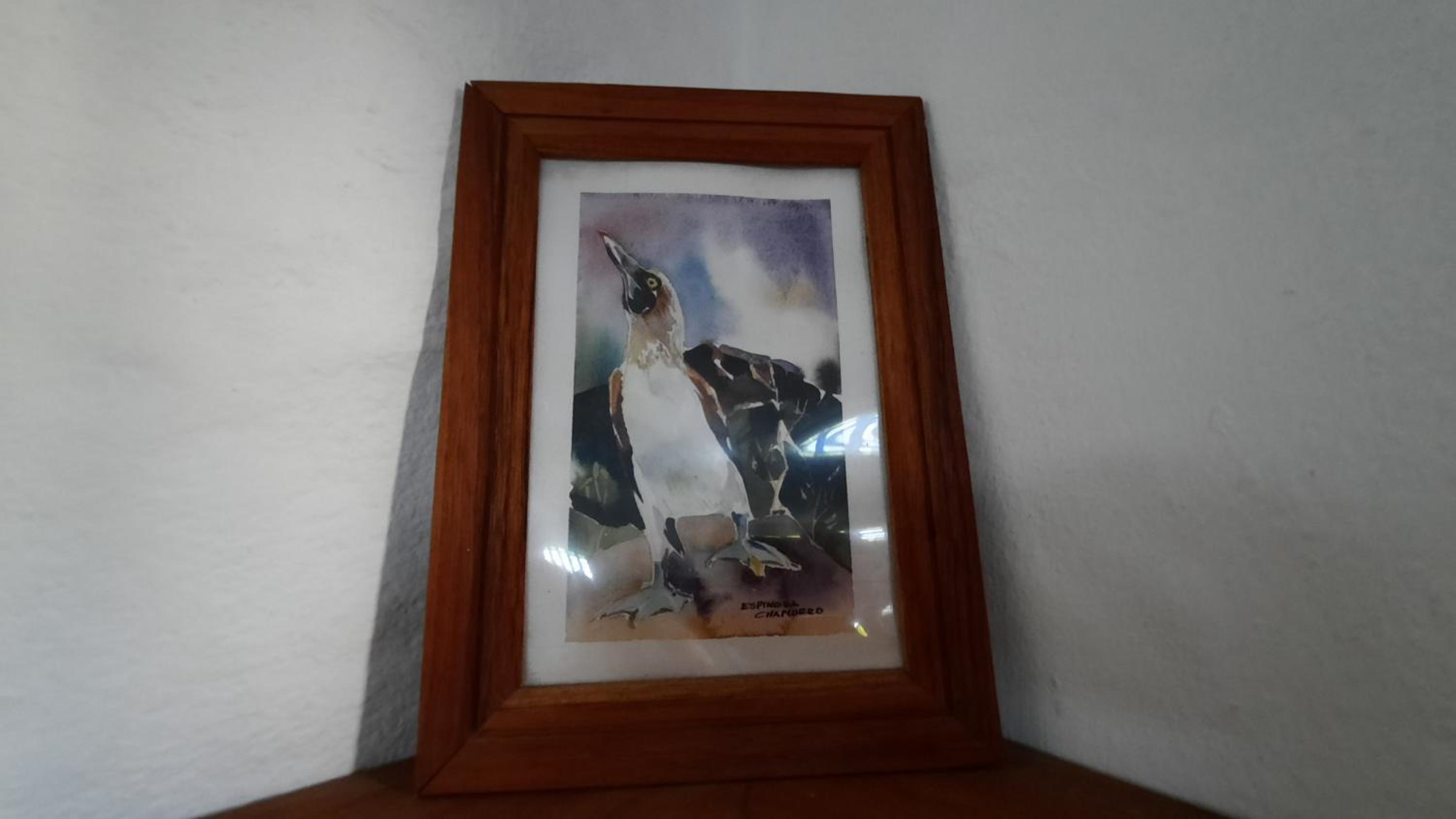 Photo 59