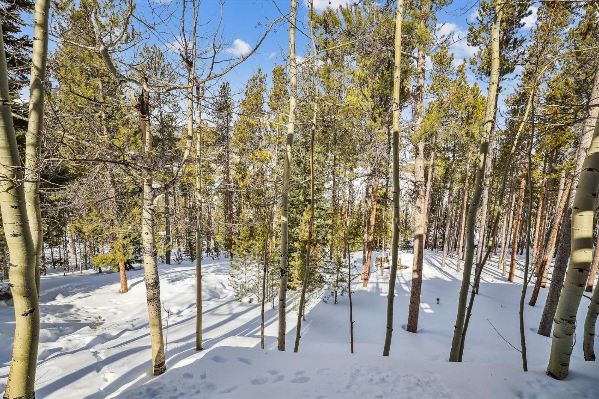 Wildwood Peaks home