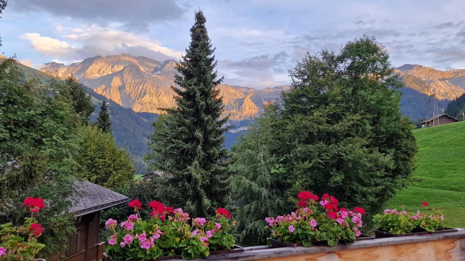 Large Deluxe Studio - Chalet Lovo