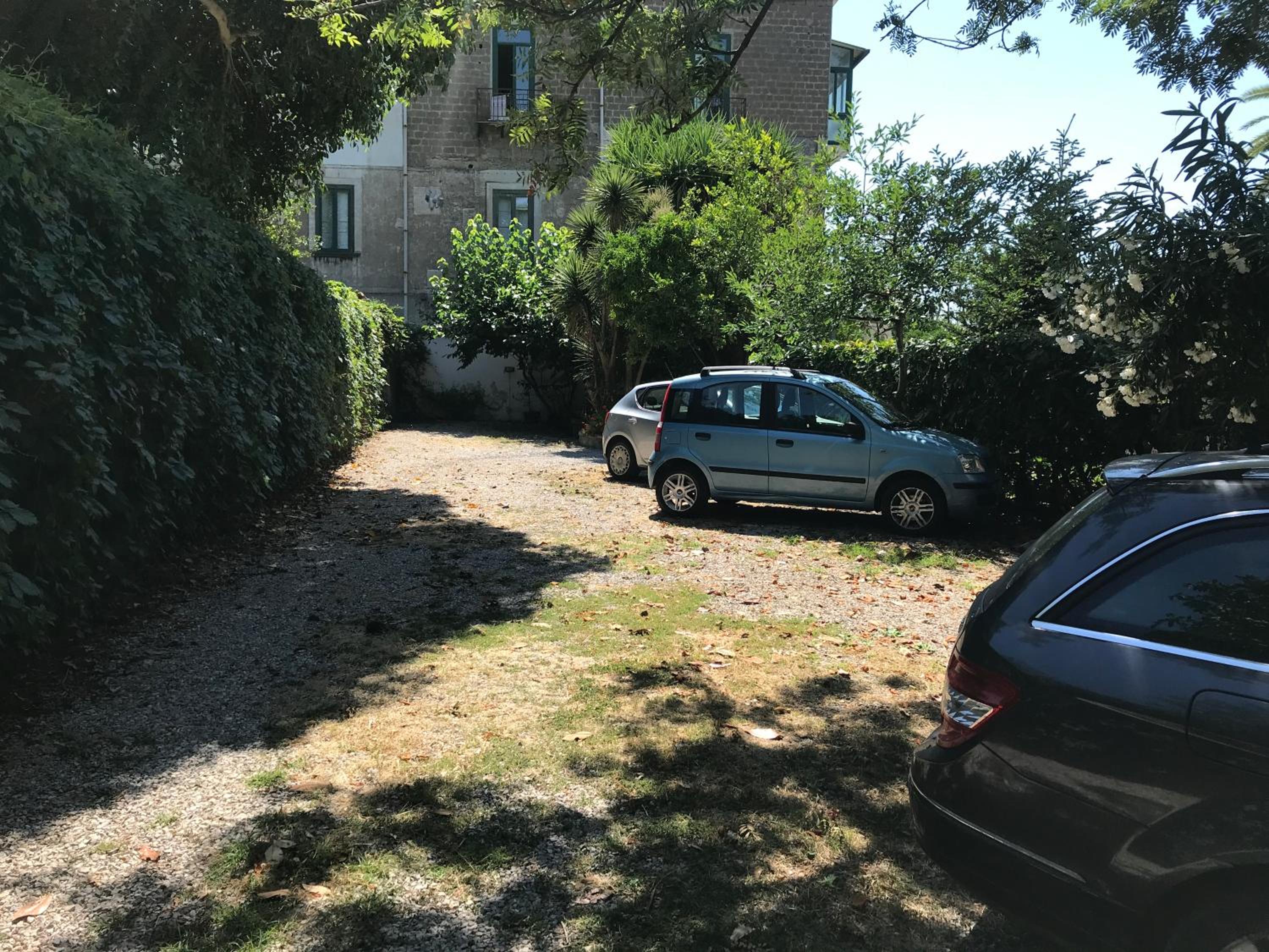 Photo 48