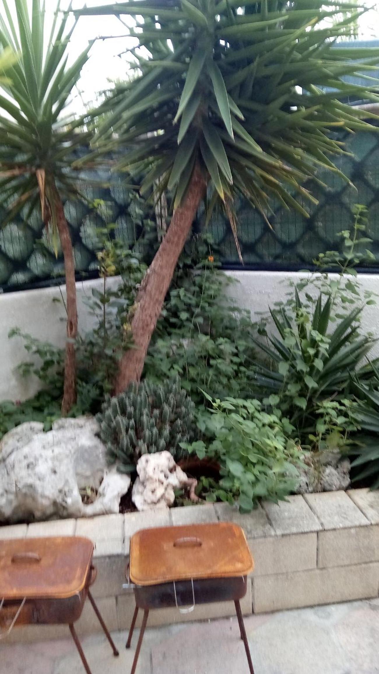 Baia Verde villa1 photo 4