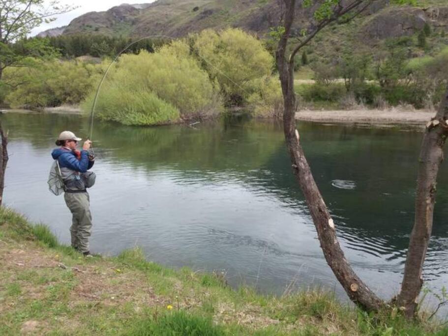 Hometainer Río Cochrane 2 Cerro Tamango