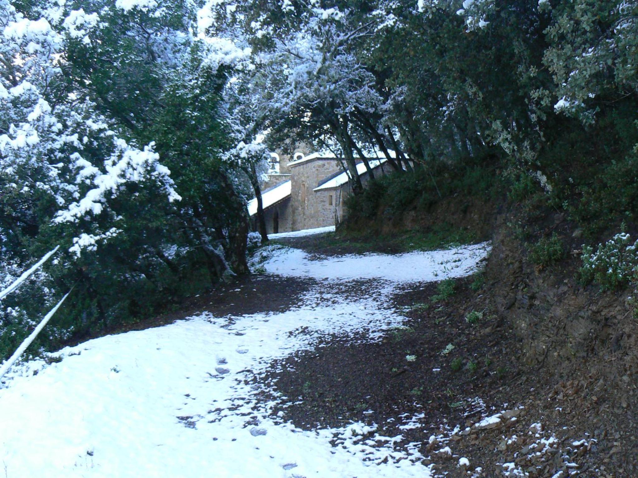 Photo 23