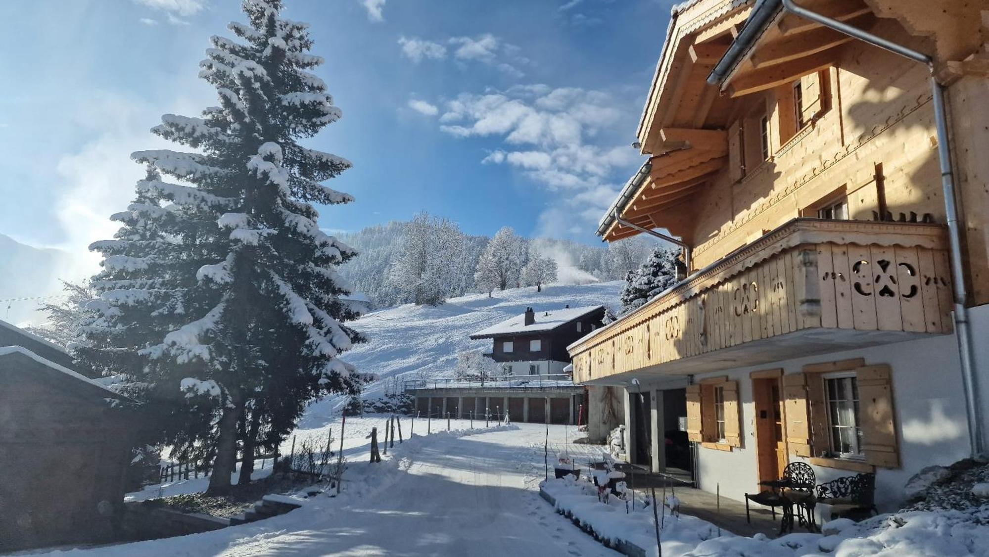 Large Deluxe Studio - Chalet Lovo
