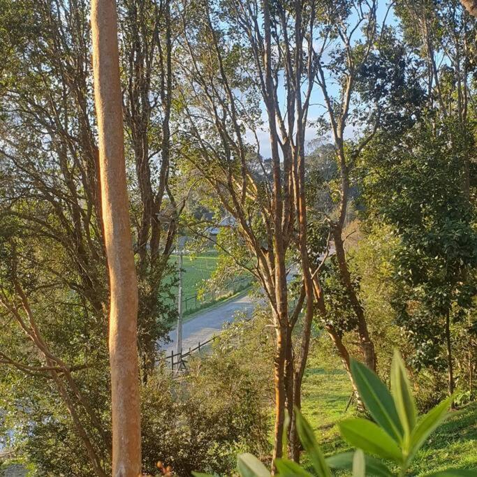 Puerto Varas con Tinaja, bosque y río.
