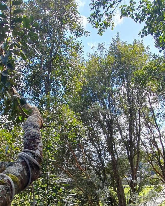 Puerto Varas con Tinaja, bosque y río.