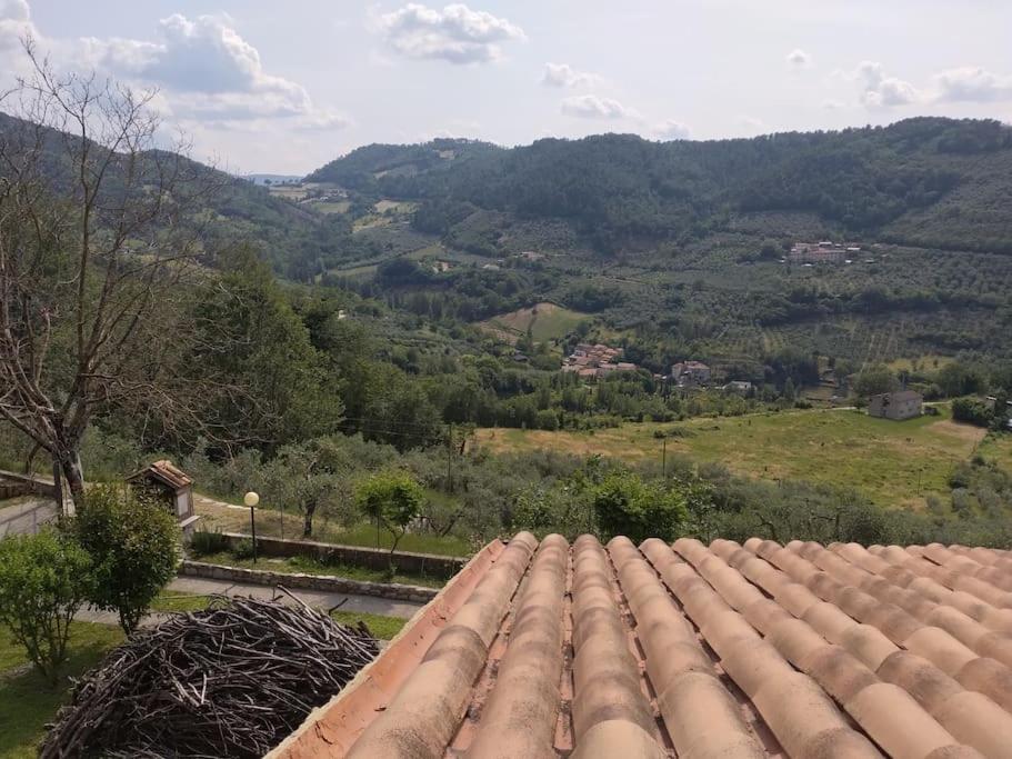 Appartamento in villa nel bosco view 5