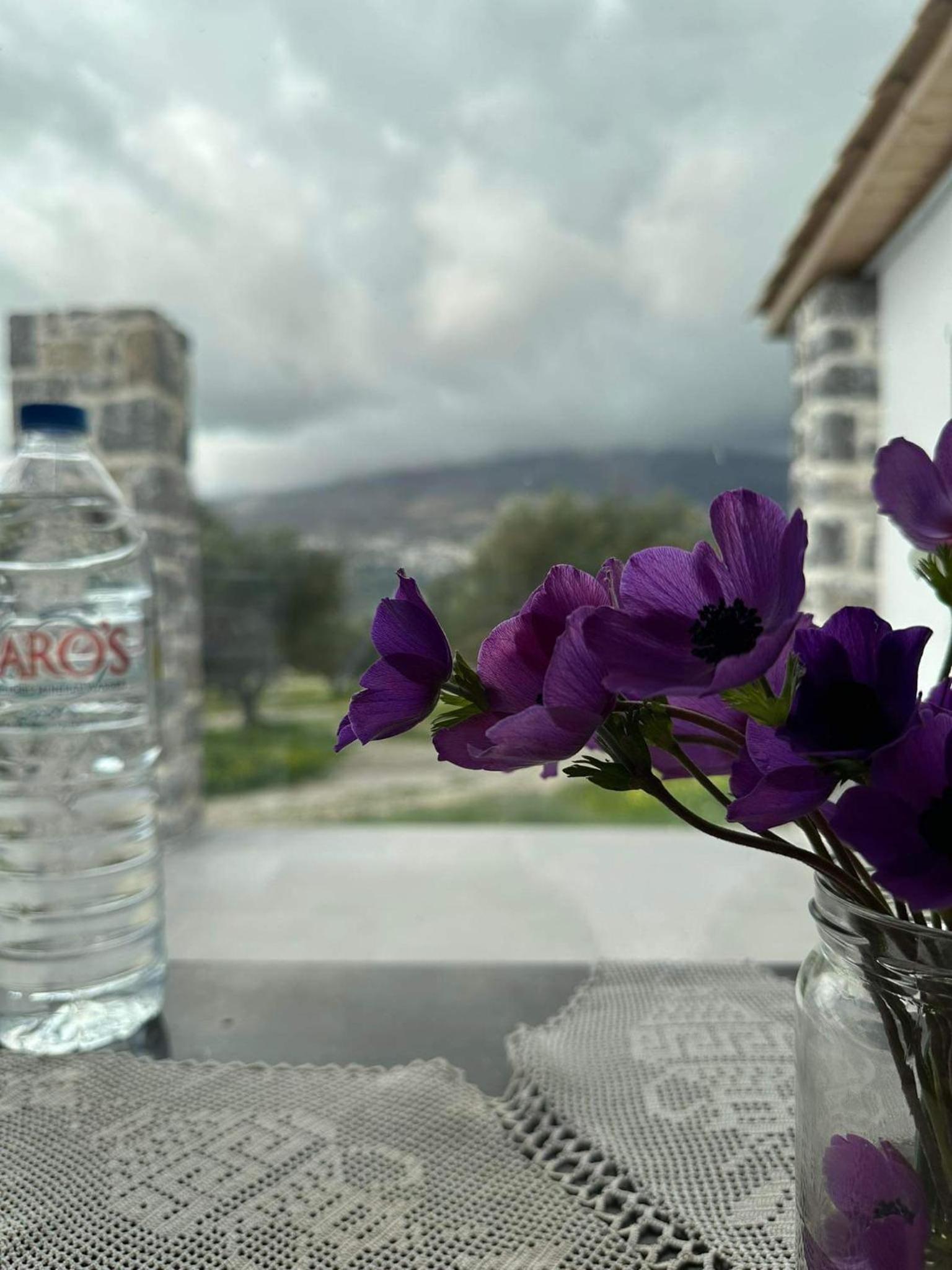Rouvas Villas