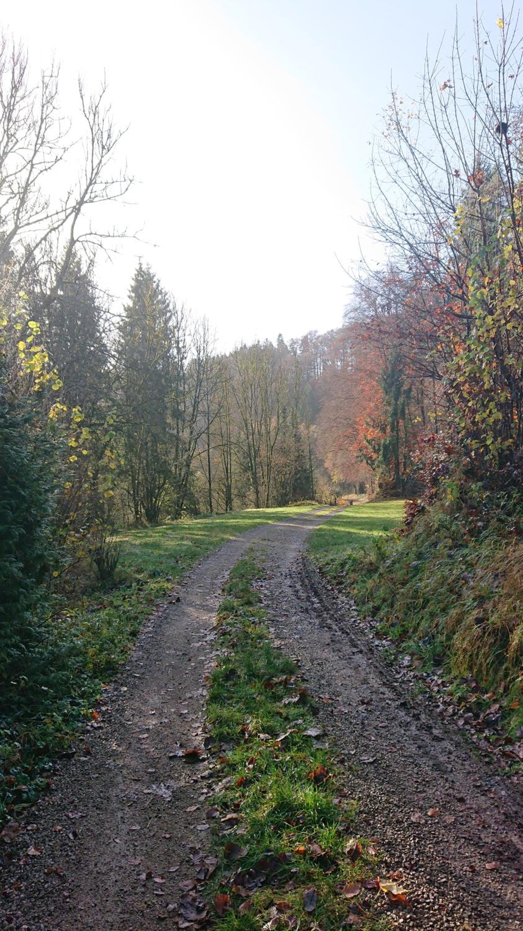 Eifelvilla Urbigkeit
