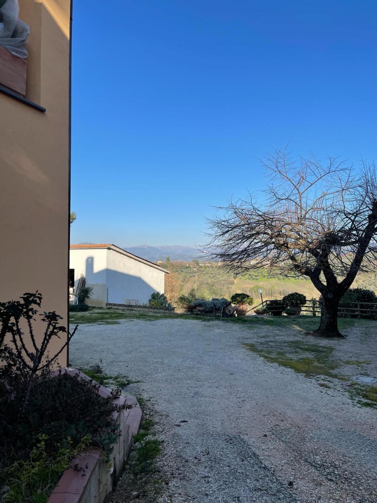 B&B Lattrazionedelgeco