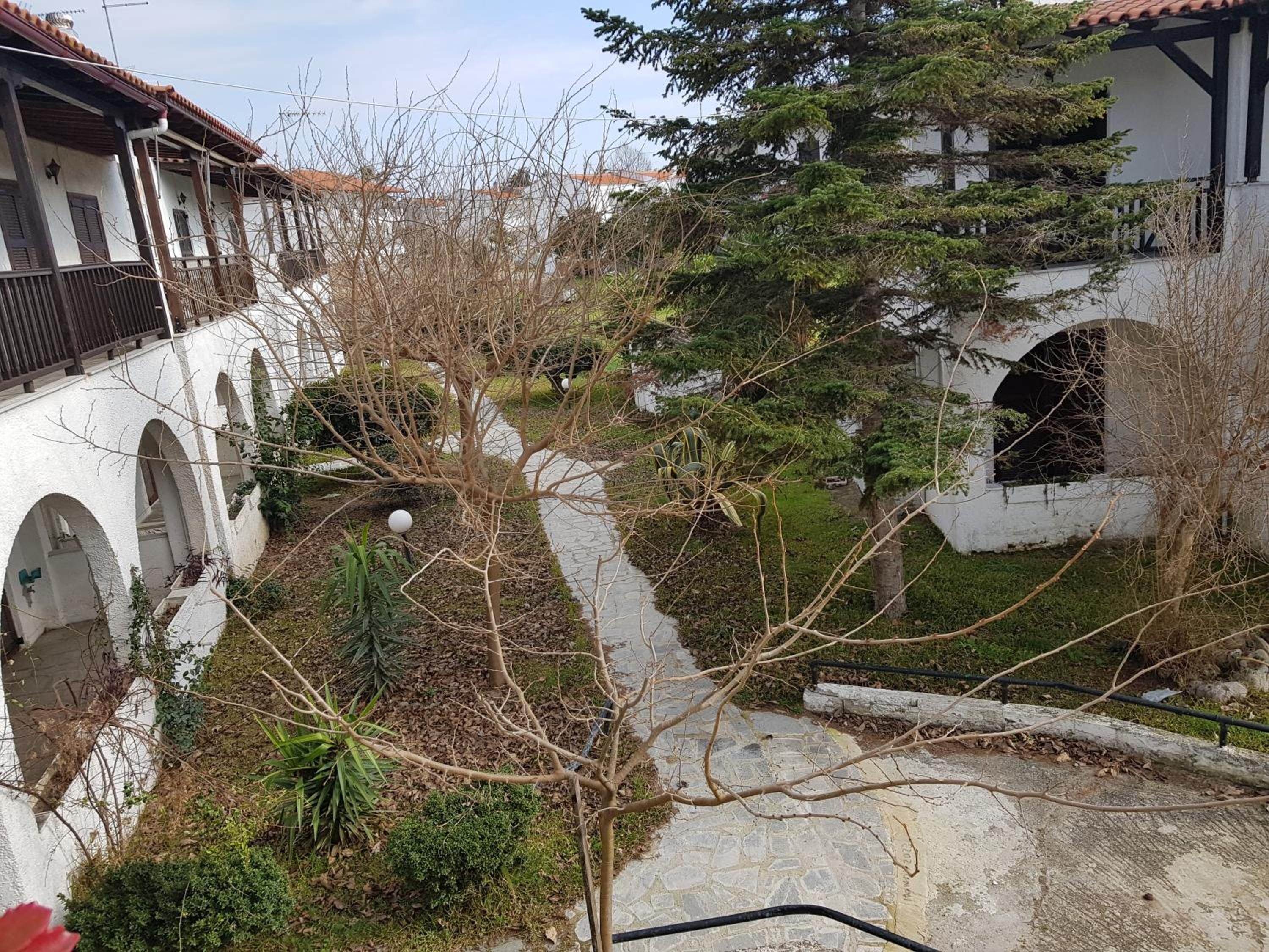 Theodora's Apartment in Palm Trees Garden
