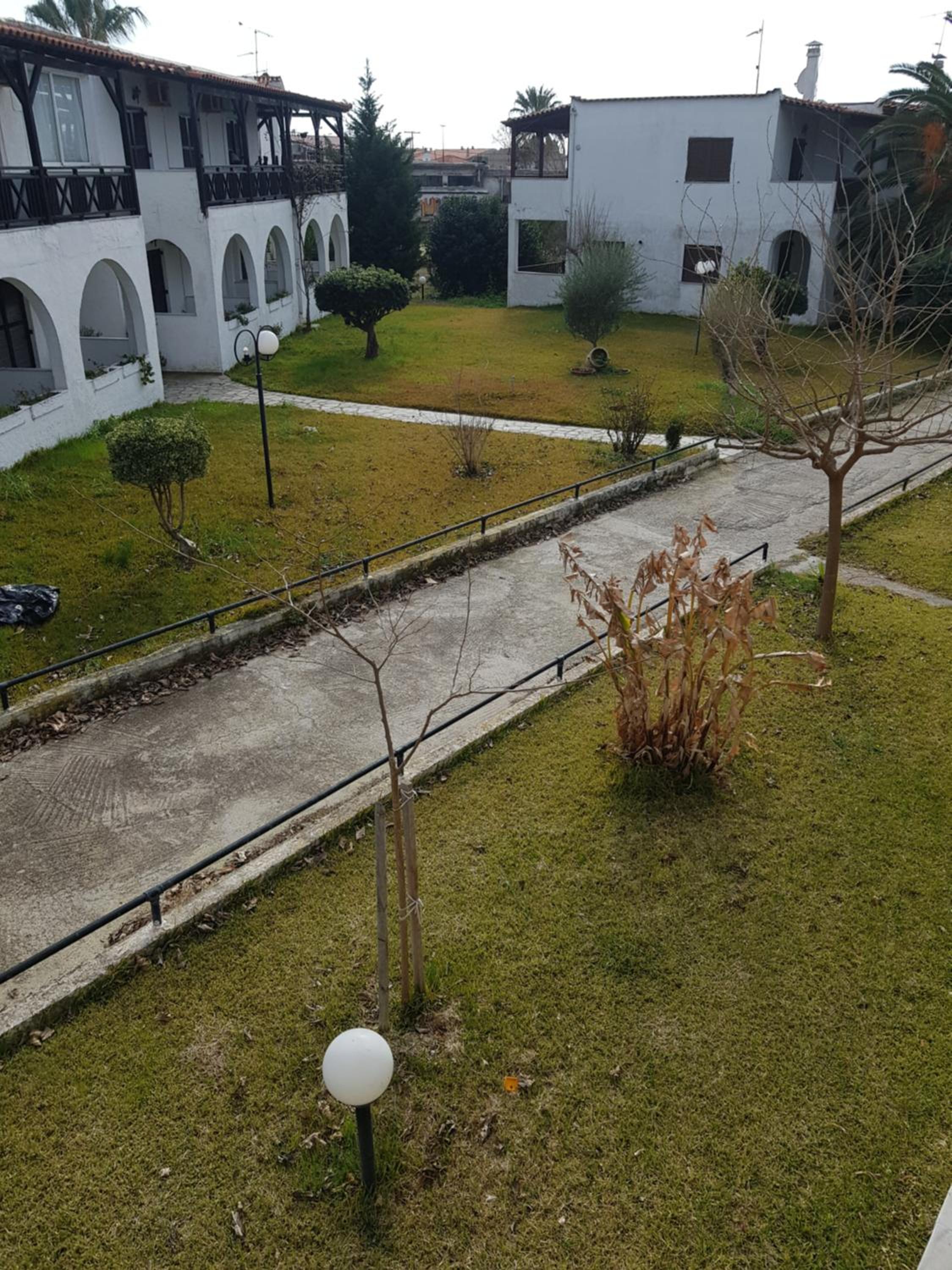 Theodora's Apartment in Palm Trees Garden