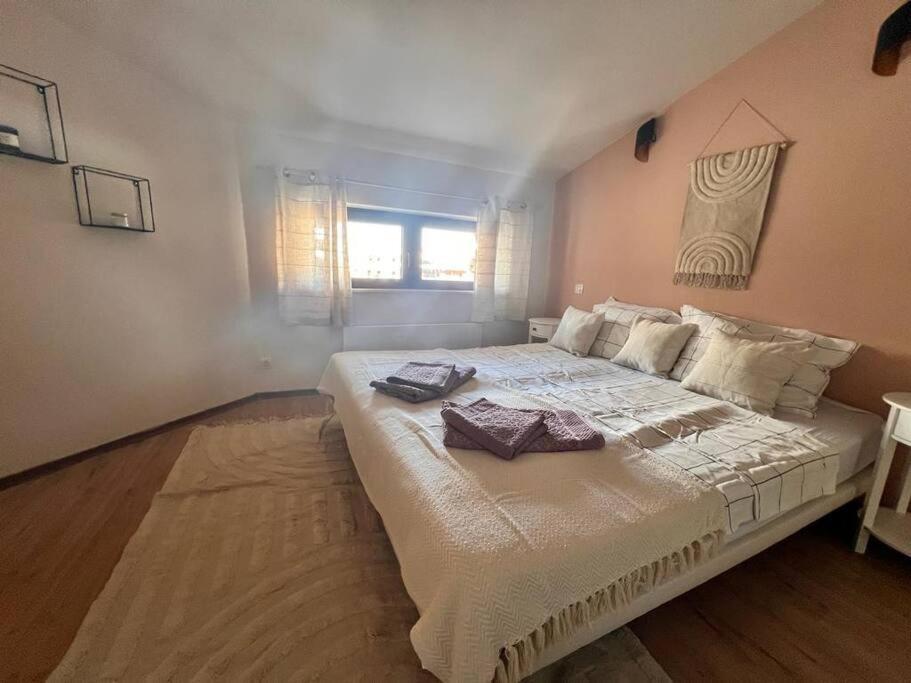 Cozy 1 bedroom apartment next to the gondola