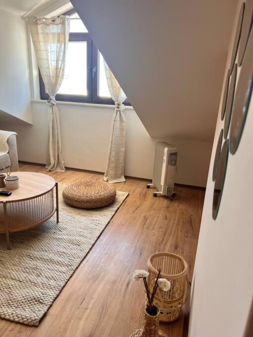 Cozy 1 bedroom apartment next to the gondola