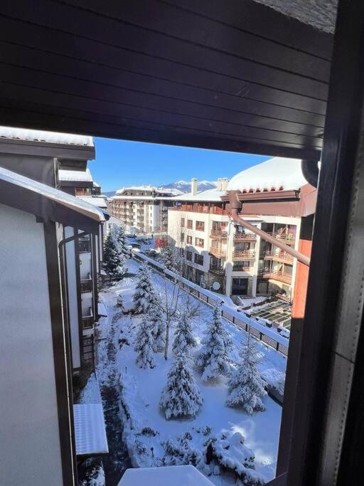 Cozy 1 bedroom apartment next to the gondola