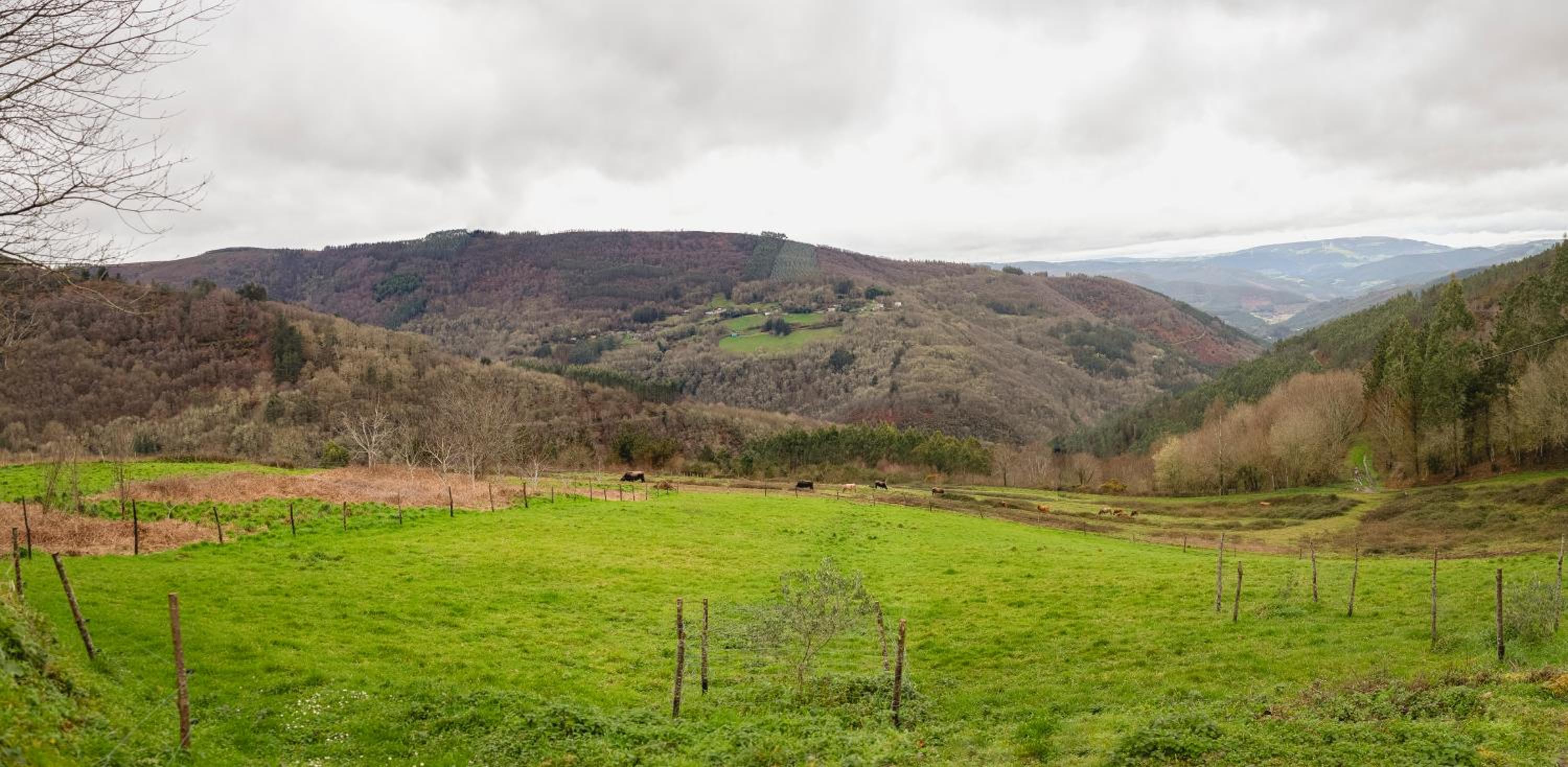 Casa Rural Lar de Sanxes - Property Image 9