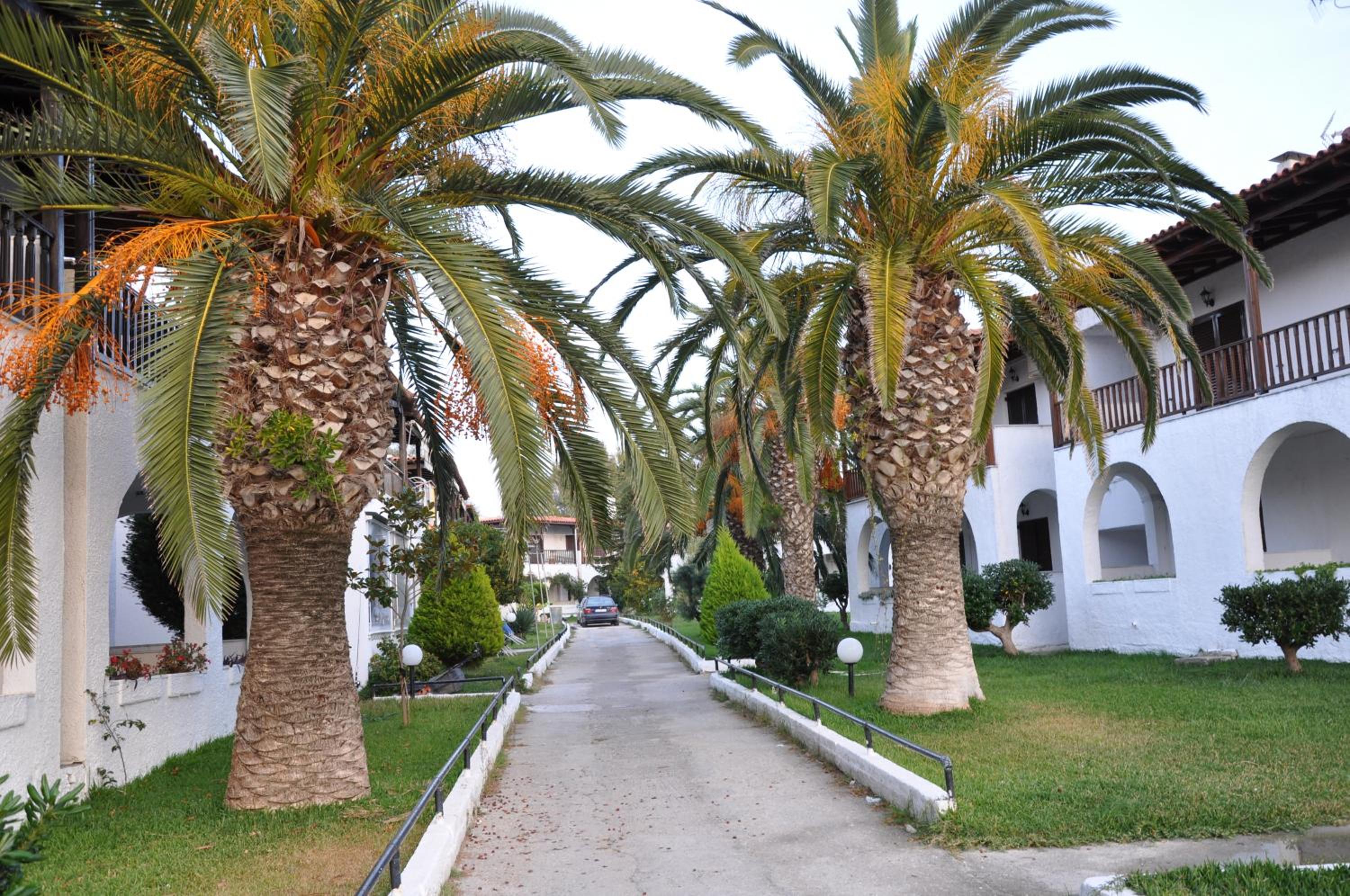 Theodora's Apartment in Palm Trees Garden