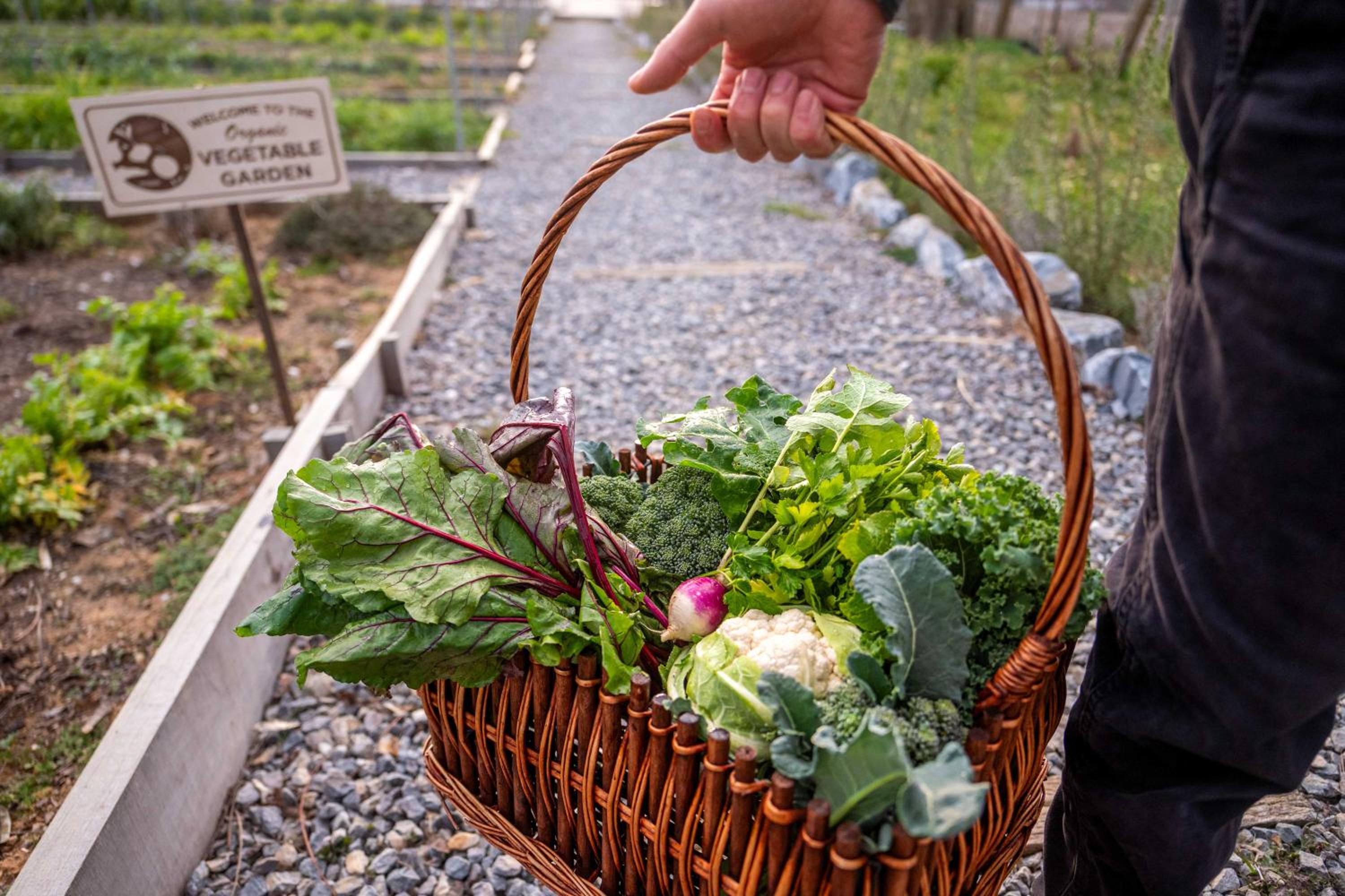 Milea Agritourism
