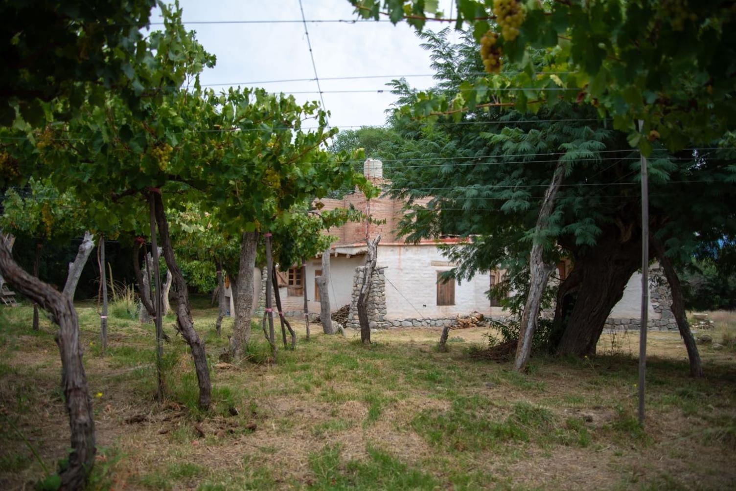 Cerco del Trigo - Image 5