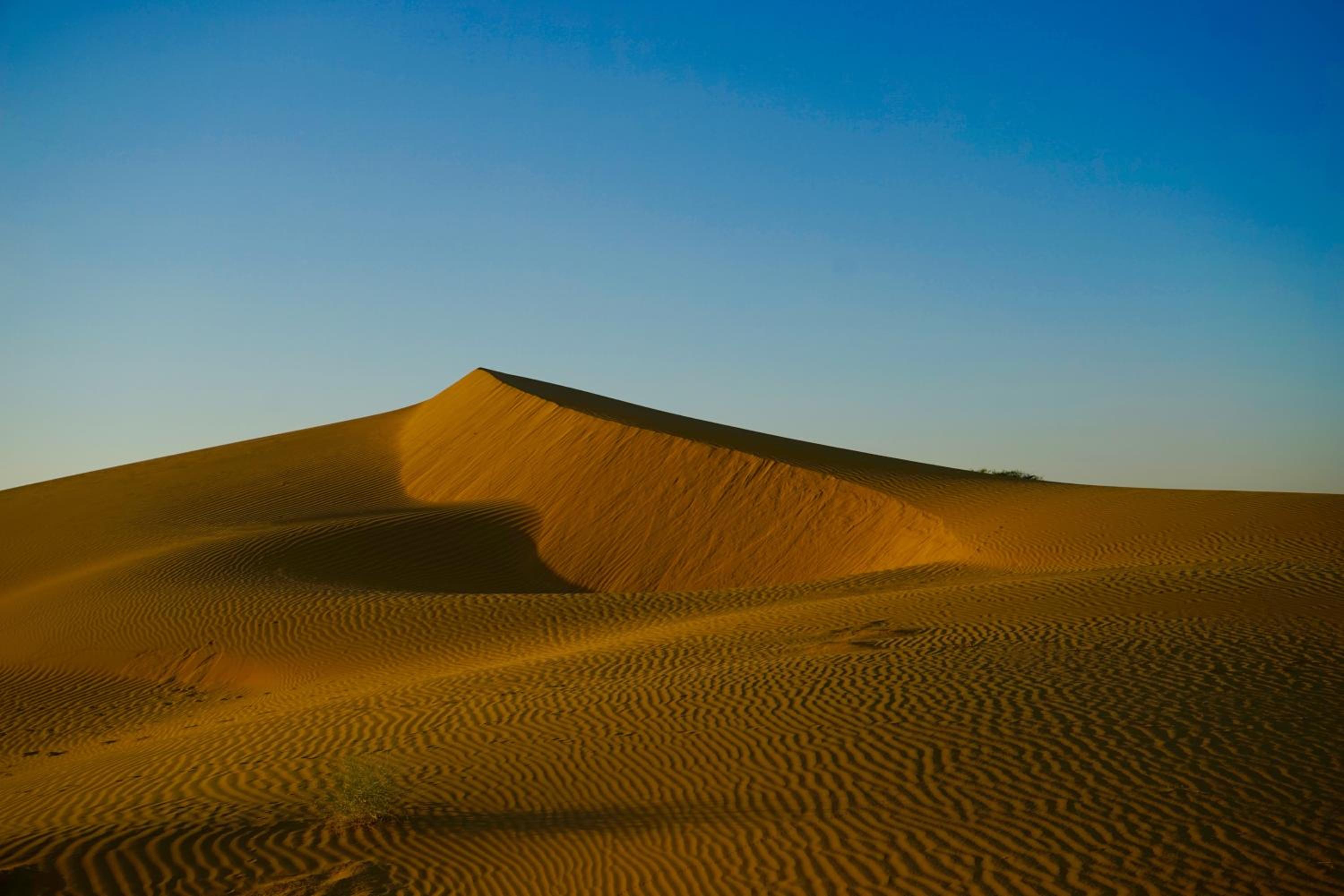 Damodra Desert Camp