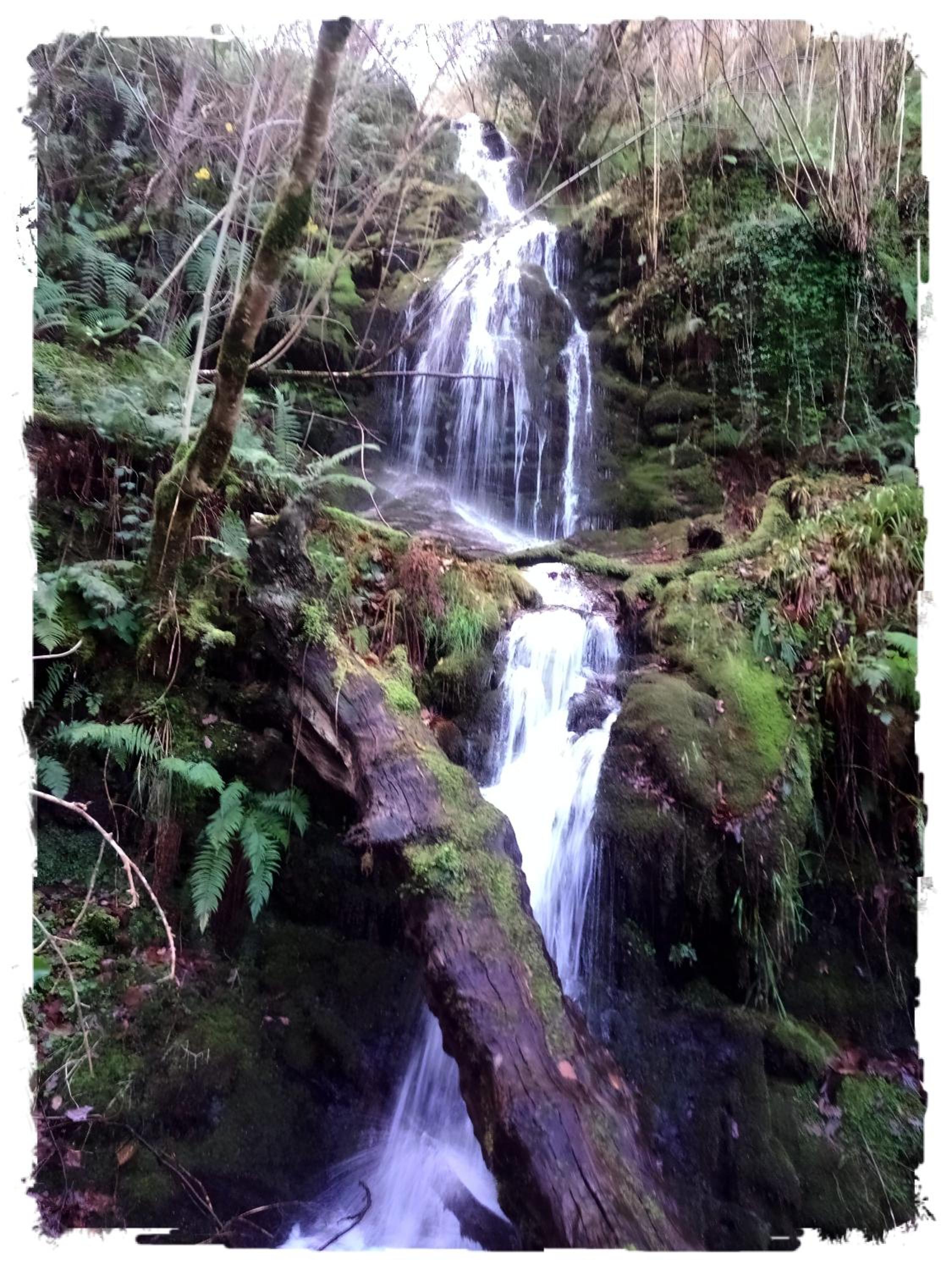 Casa Rural Lar de Sanxes - Property Image 12