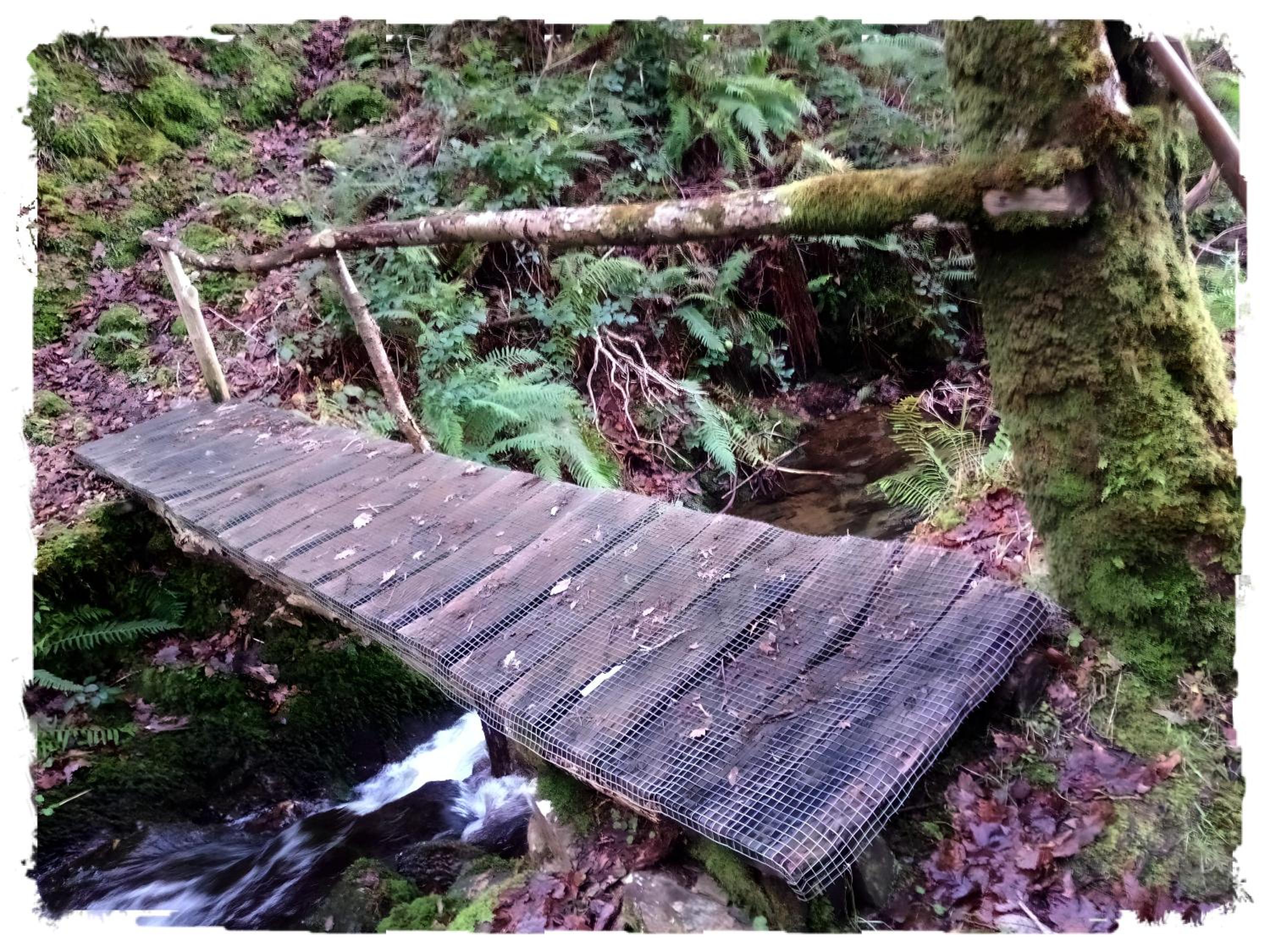 Casa Rural Lar de Sanxes - Property Image 17