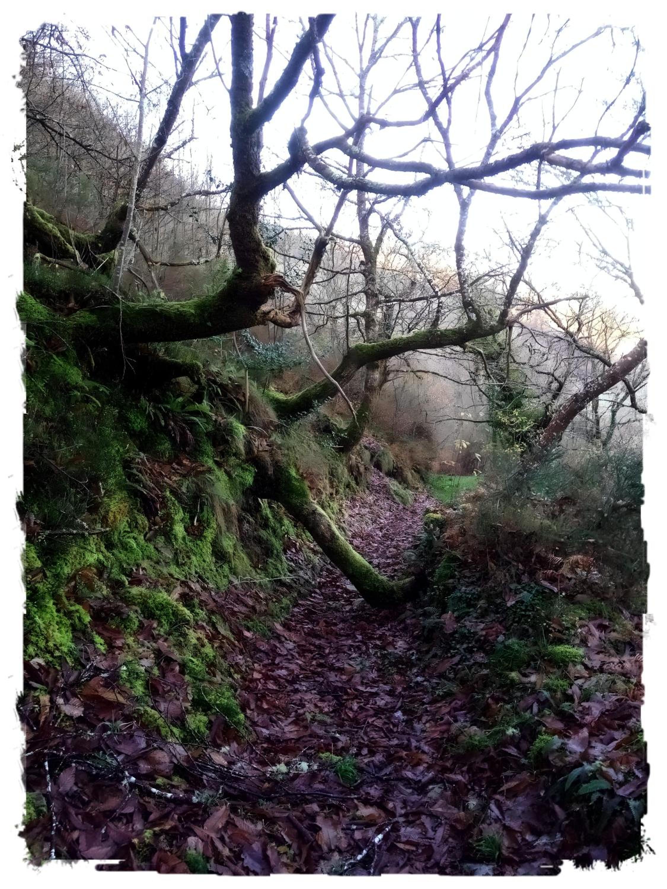 Casa Rural Lar de Sanxes - Property Image 16