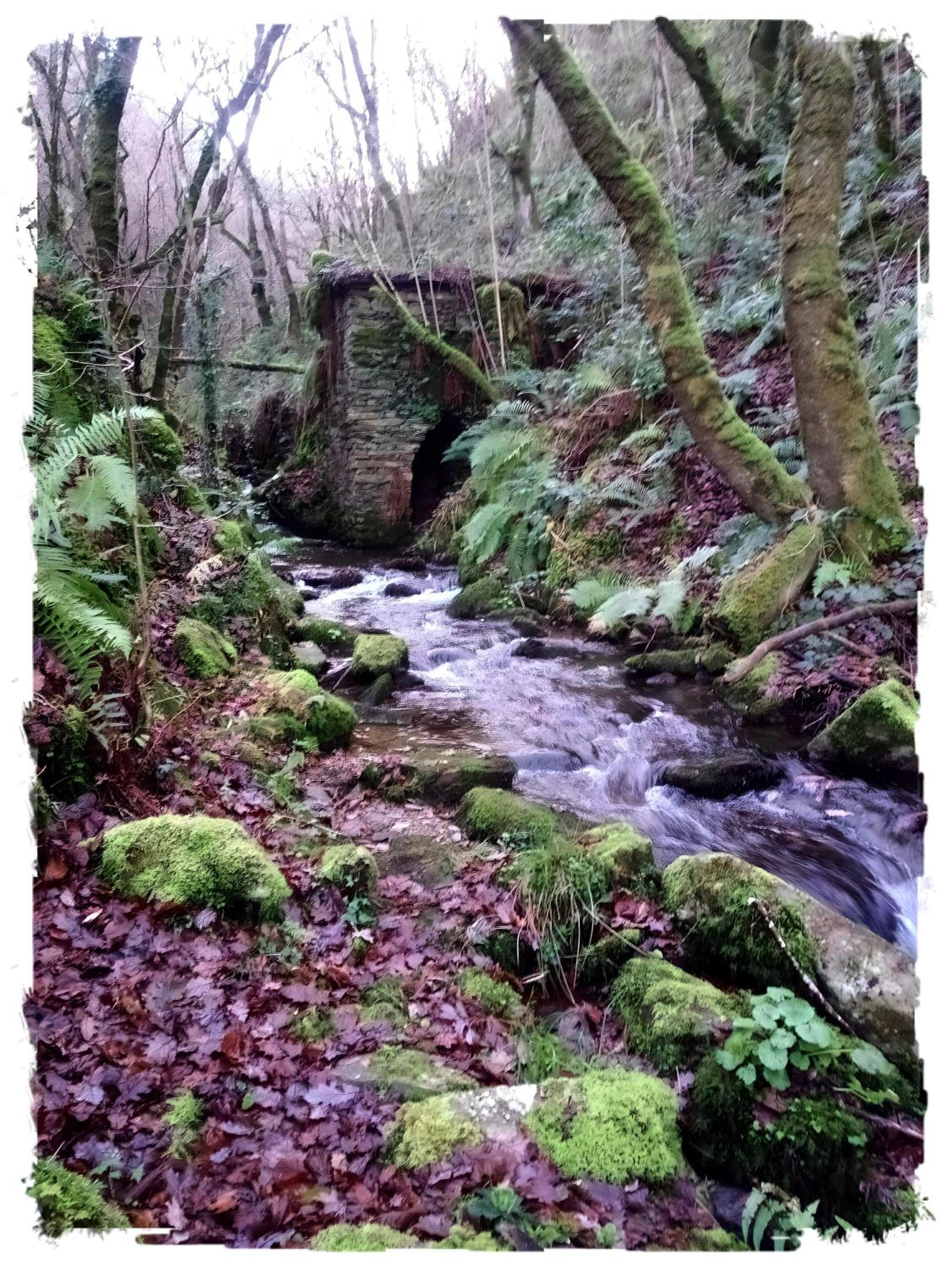 Casa Rural Lar de Sanxes - Property Image 13