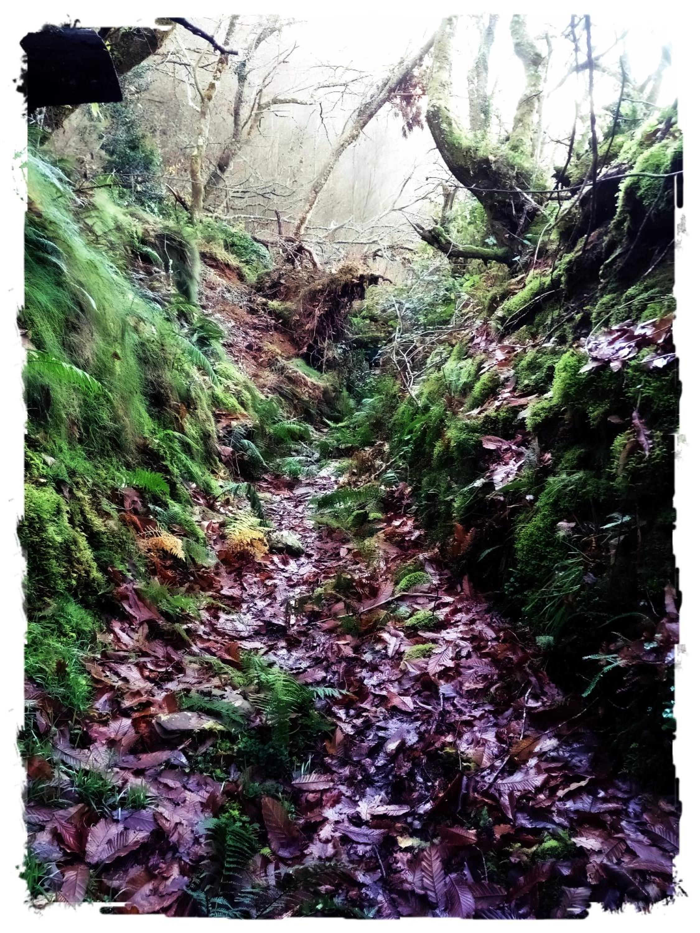 Casa Rural Lar de Sanxes - Property Image 1