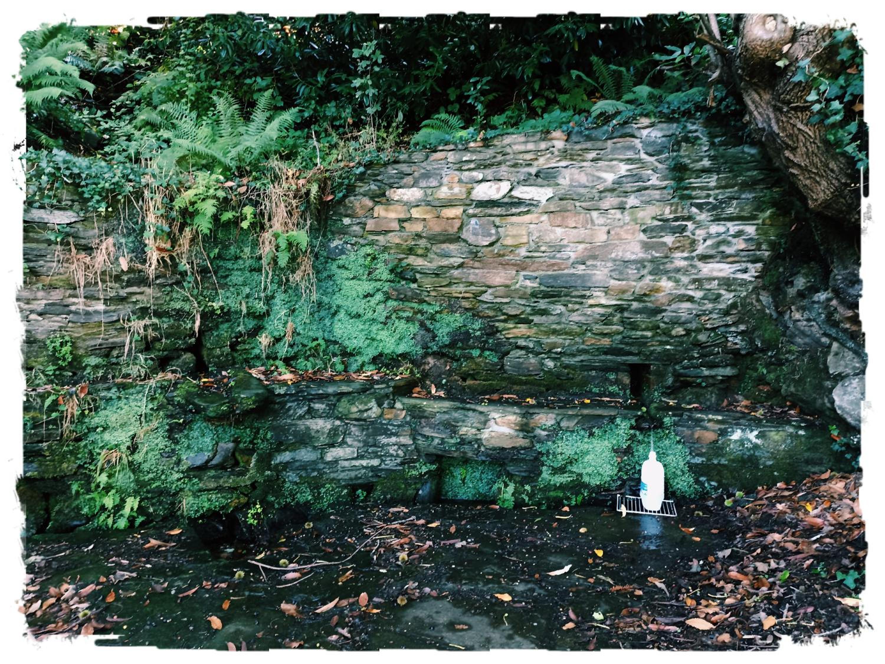 Casa Rural Lar de Sanxes - Property Image 18