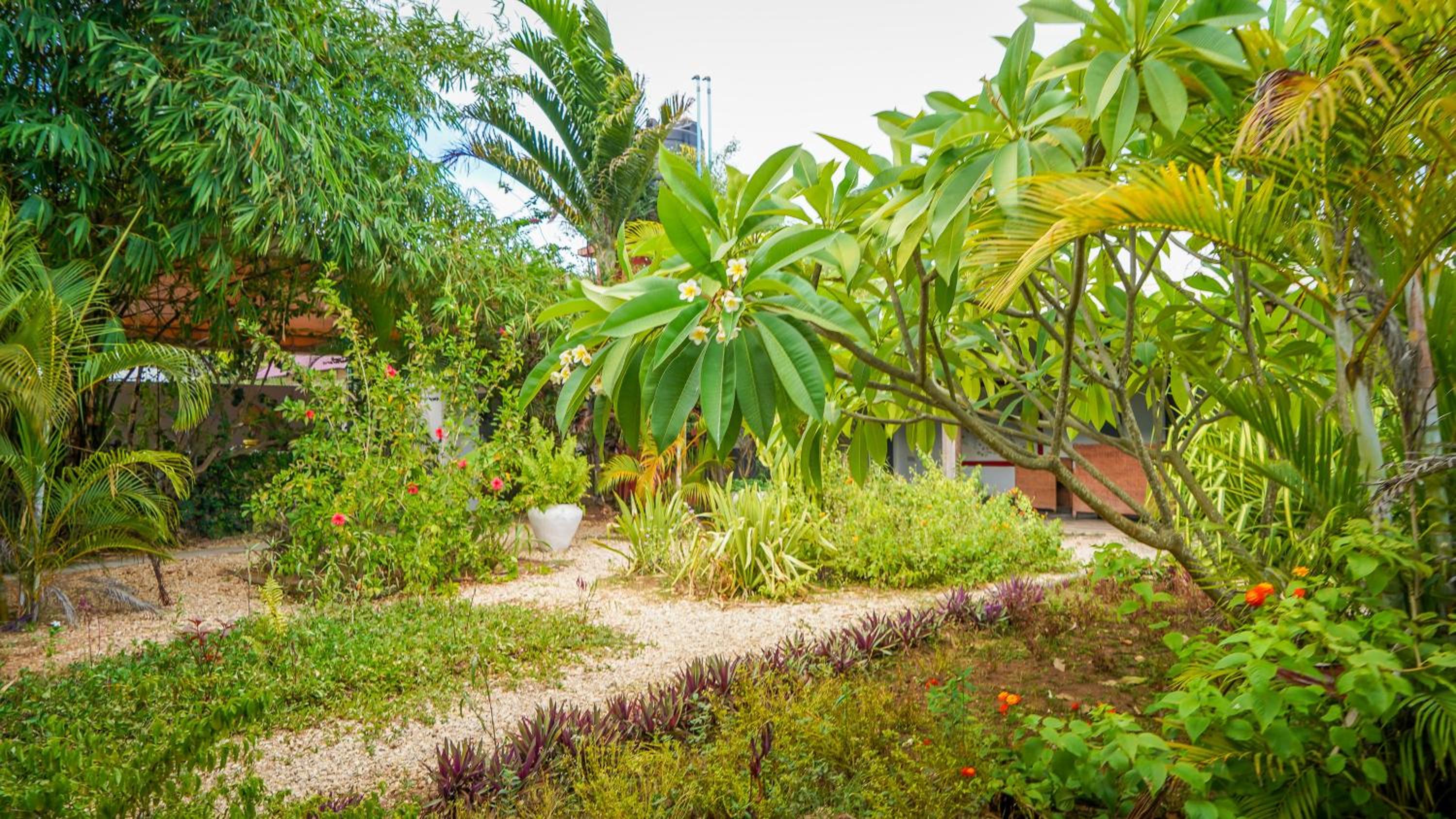 Nungwi House