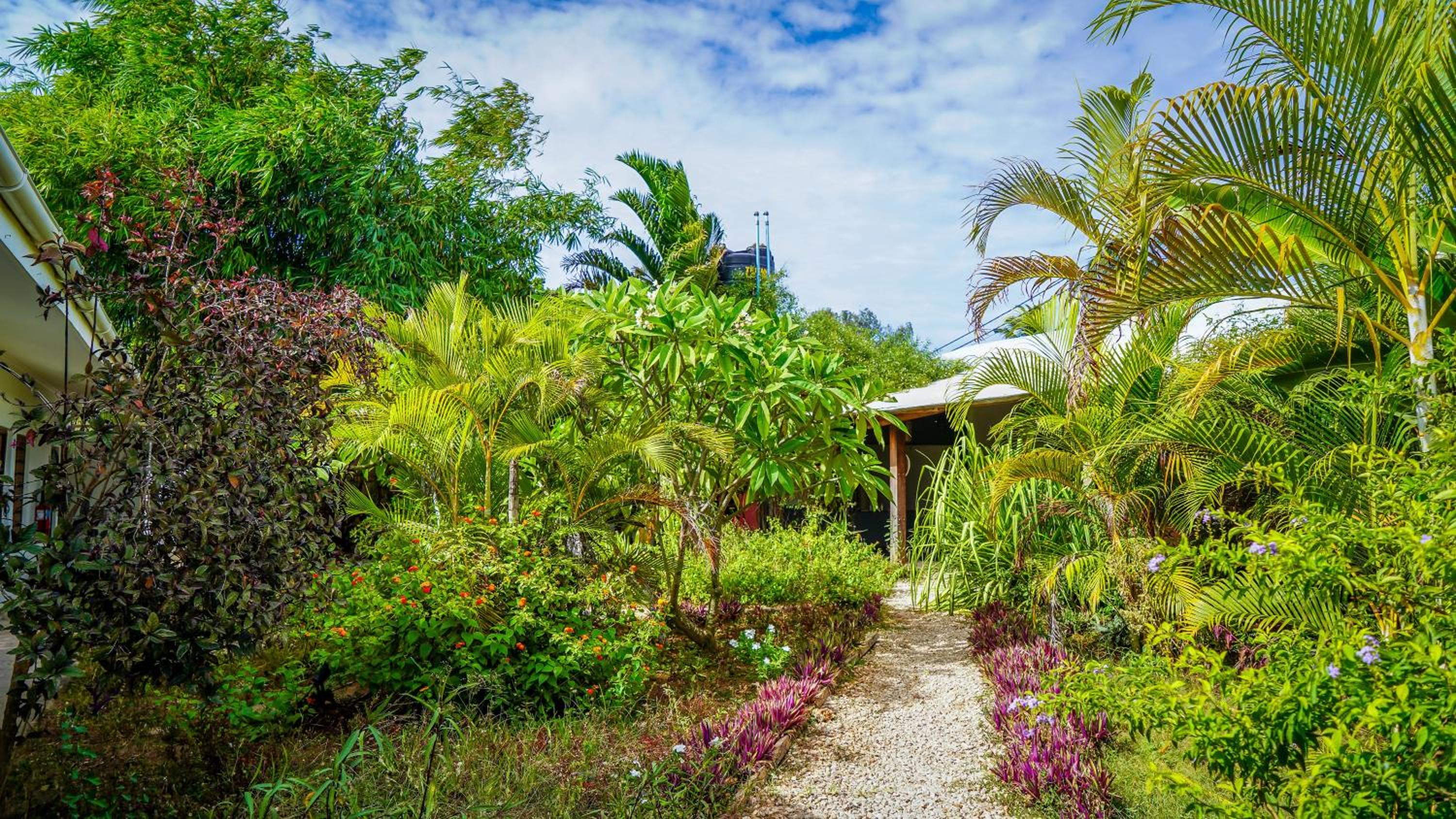 Nungwi House