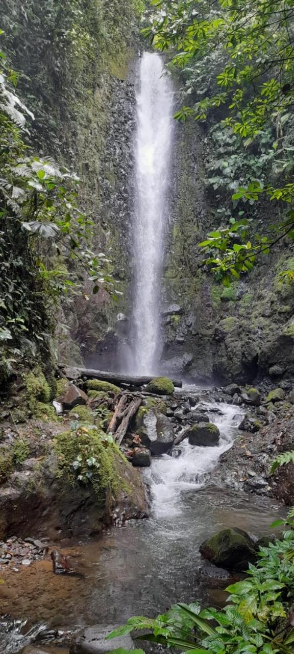 Finca Del Cielo