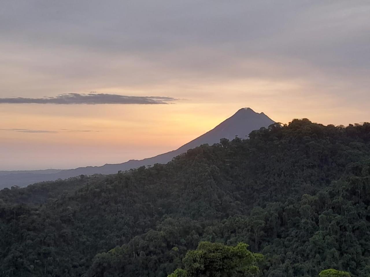 Finca Del Cielo
