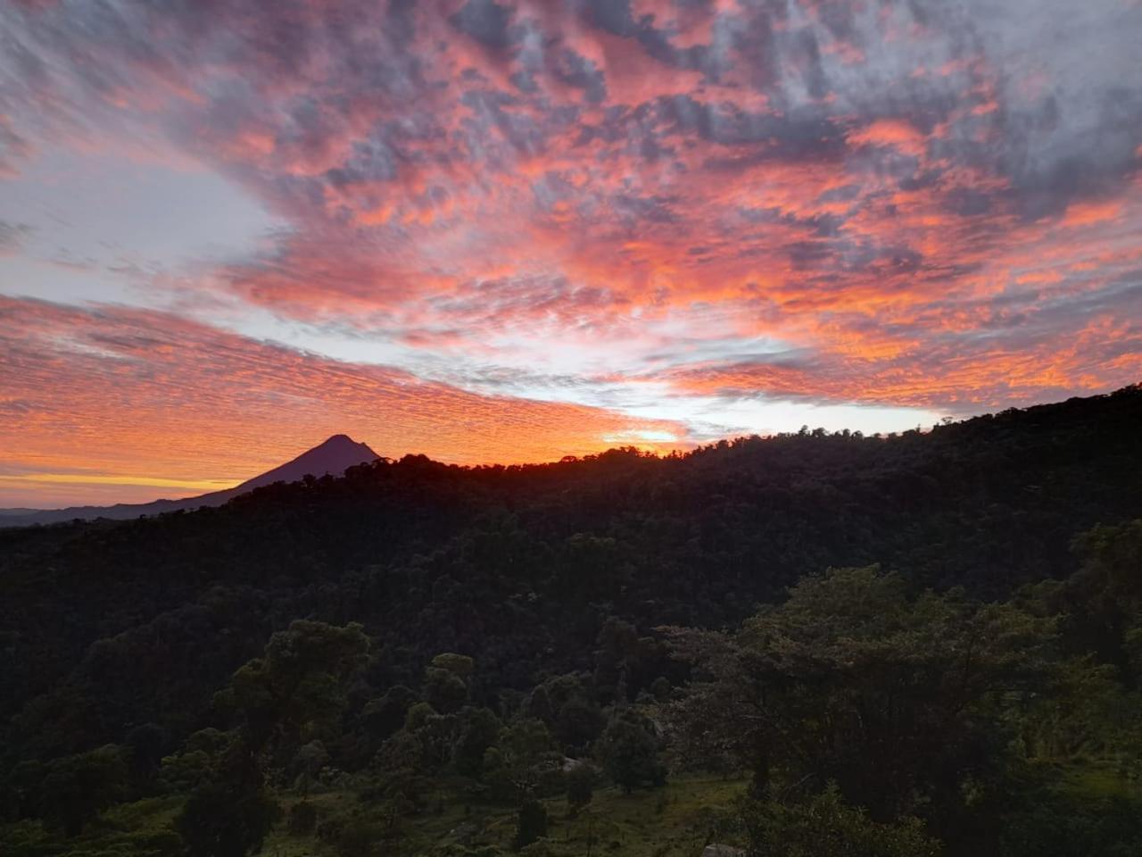 Finca Del Cielo