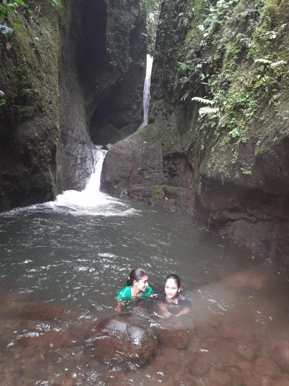 human